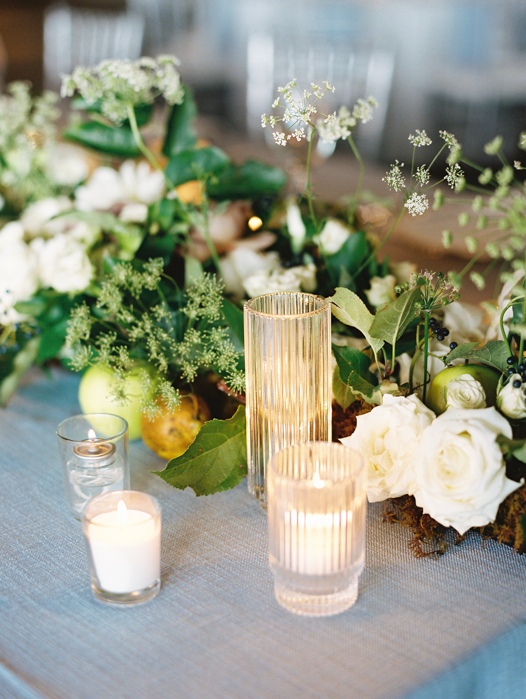 Amanda Nippoldt Photography