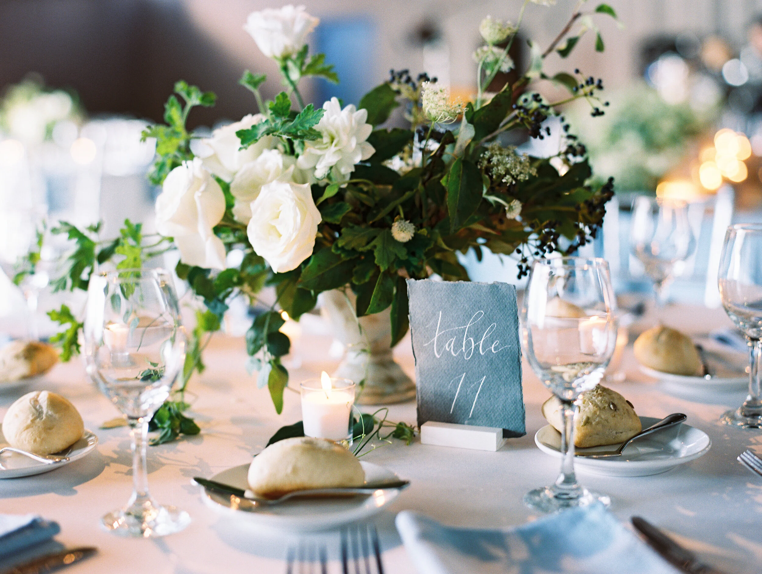 Amanda Nippoldt Photography