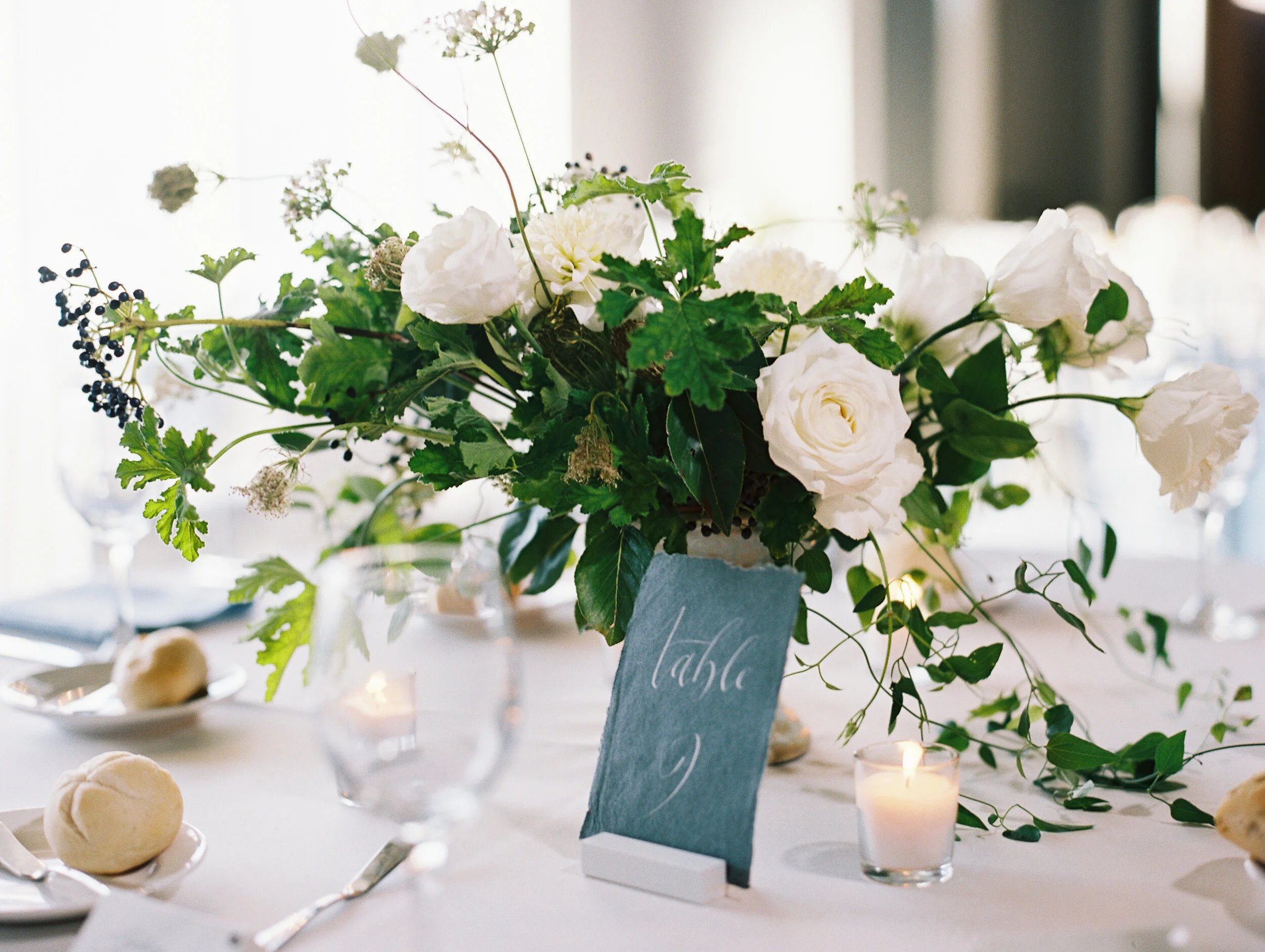 Amanda Nippoldt Photography