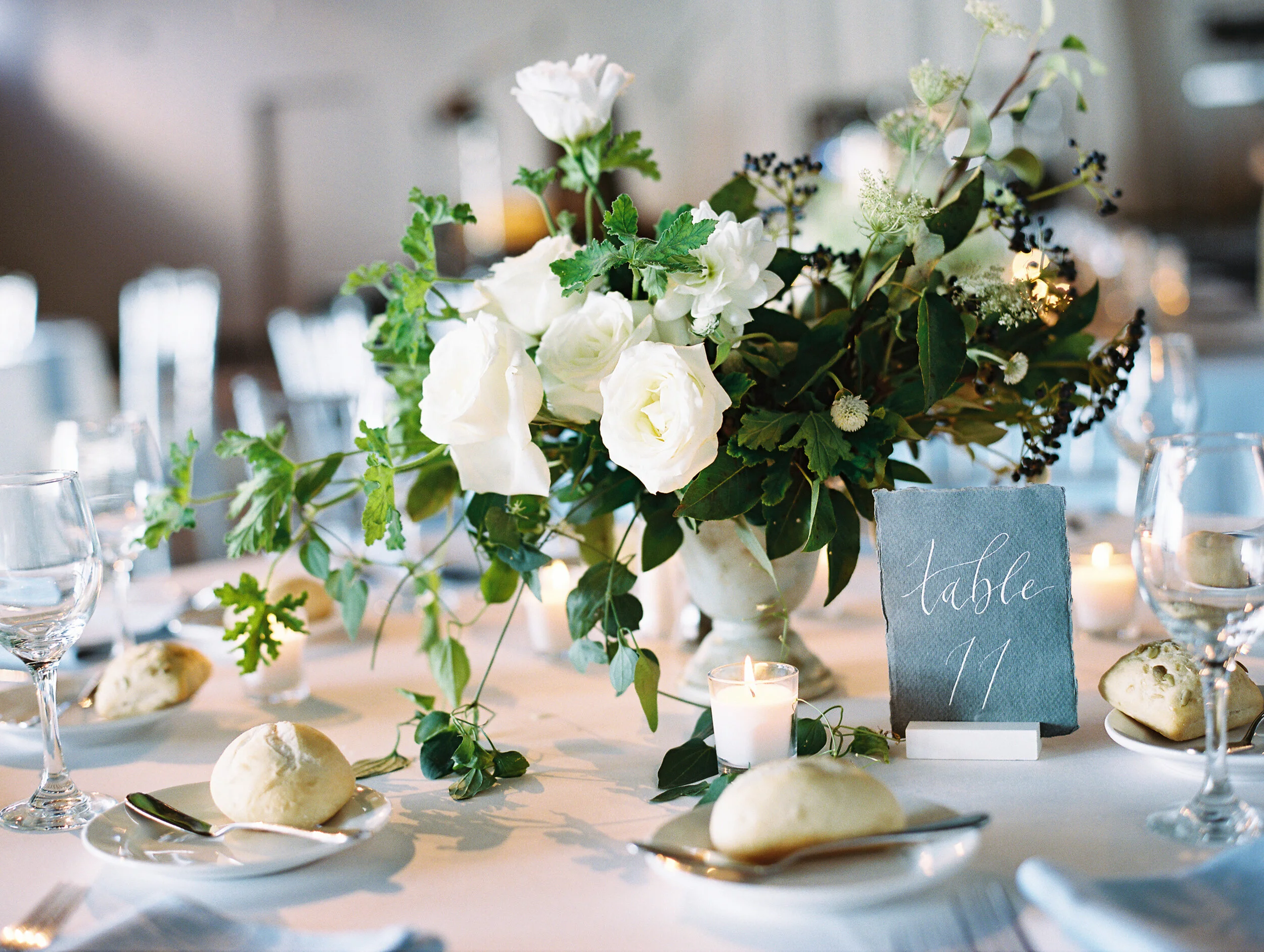 Amanda Nippoldt Photography