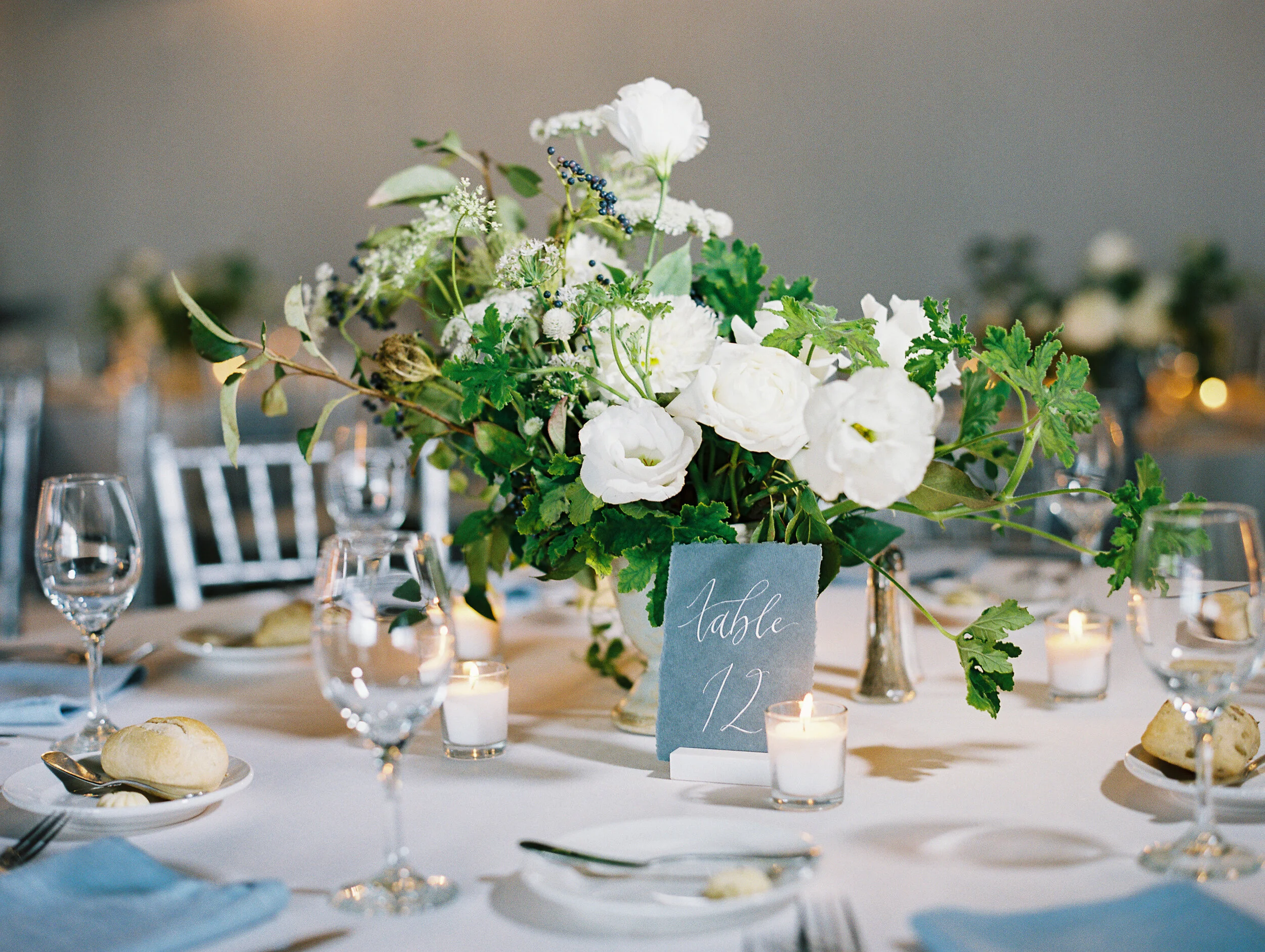 Amanda Nippoldt Photography