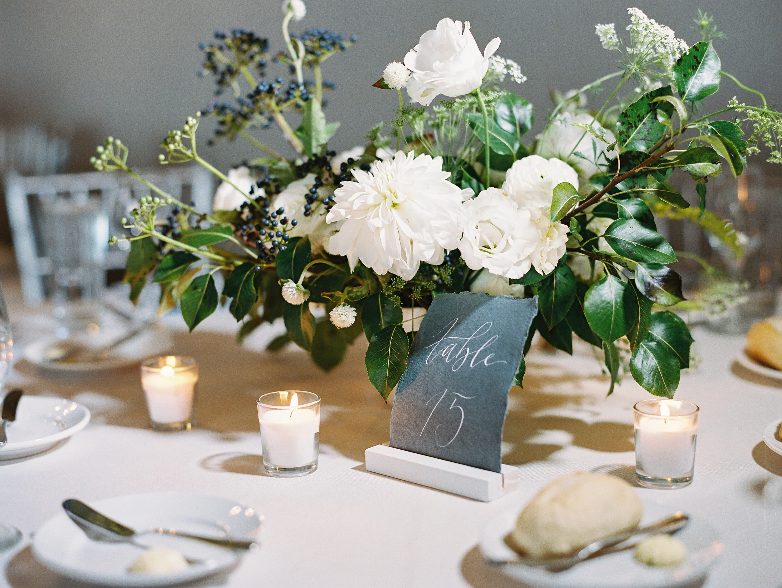 Amanda Nippoldt Photography