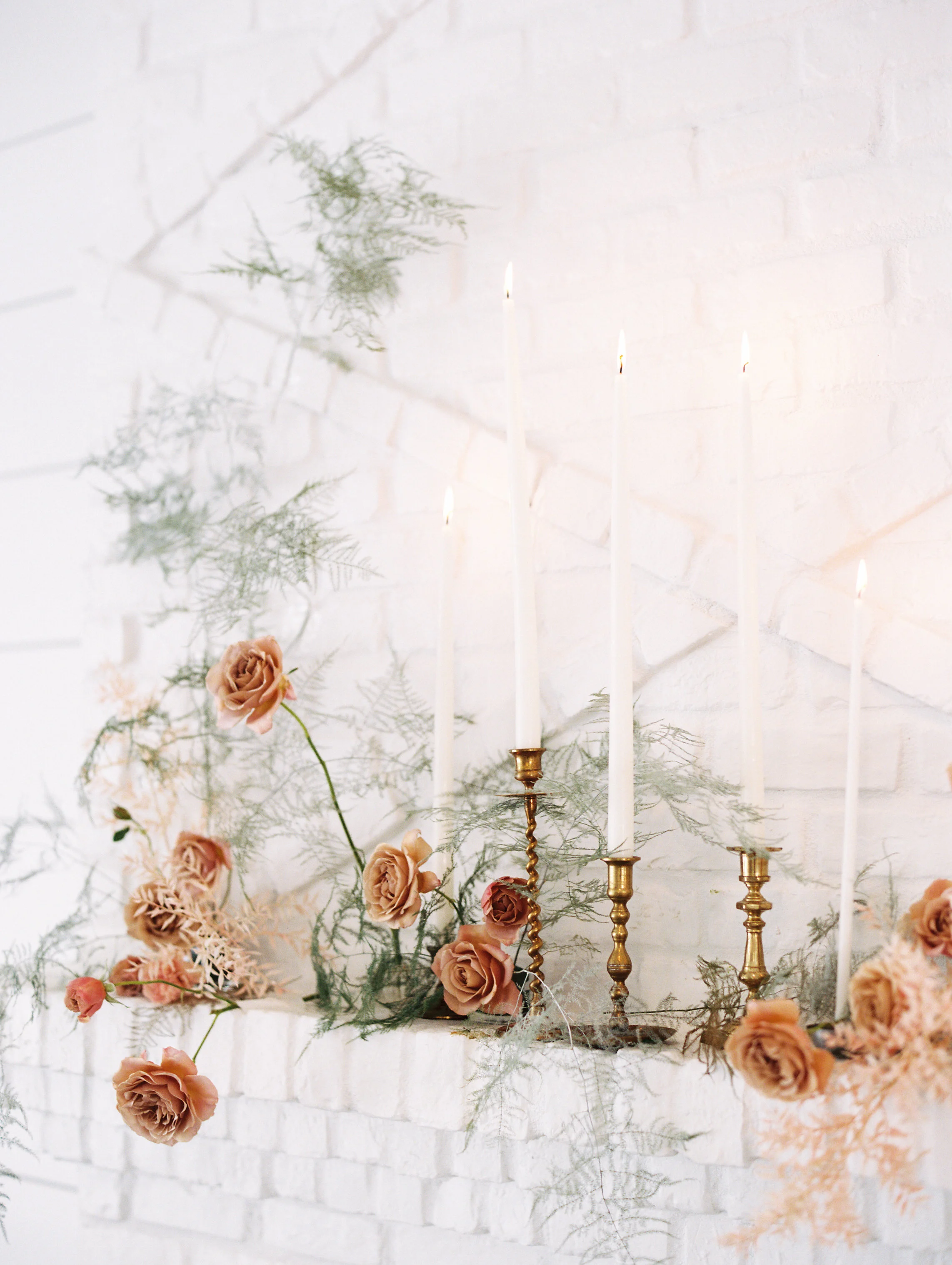 amanda nippoldt photography