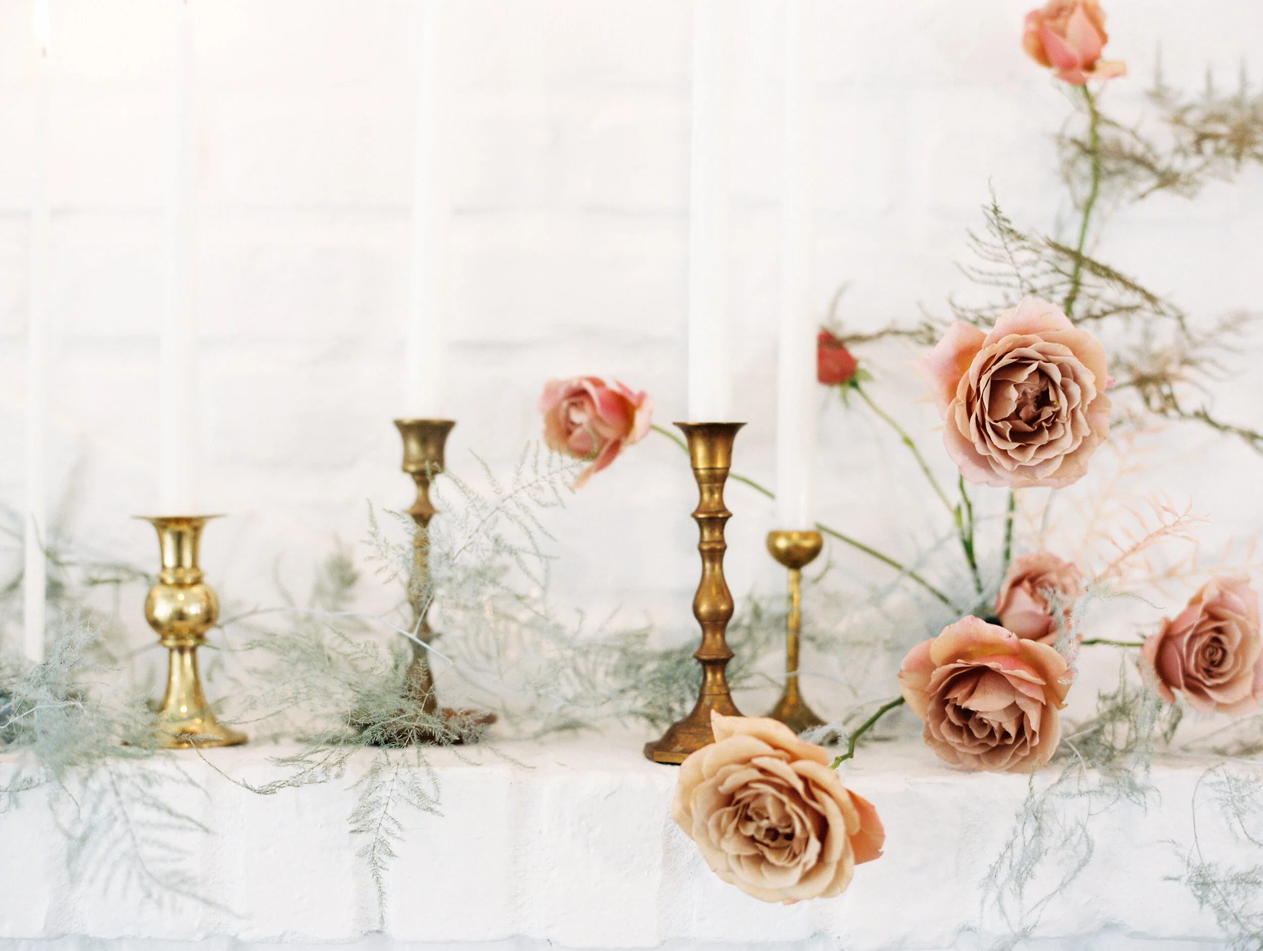 amanda nippoldt photography