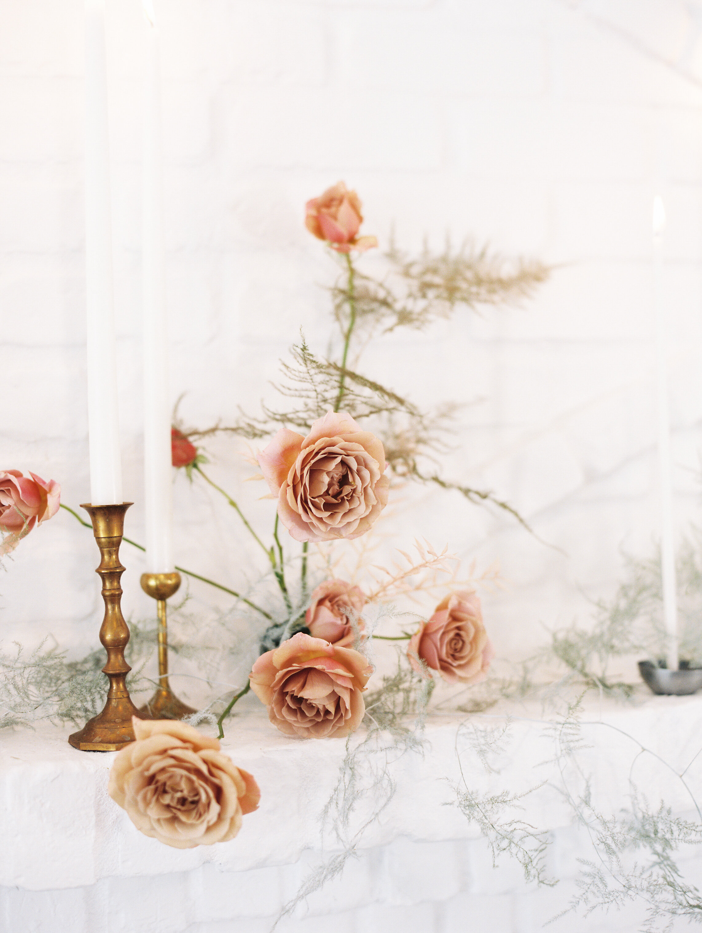 amanda nippoldt photography