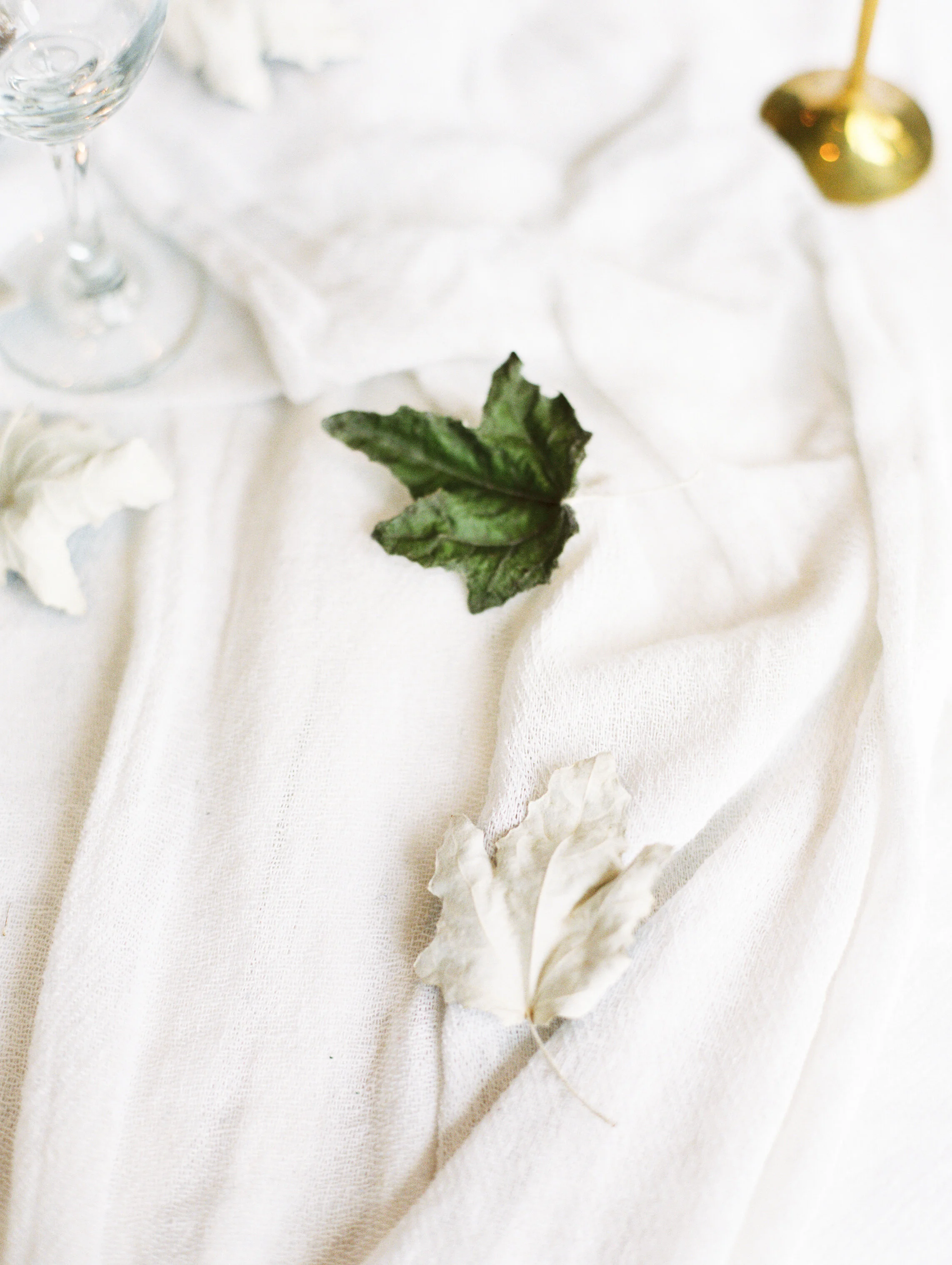 amanda nippoldt photography