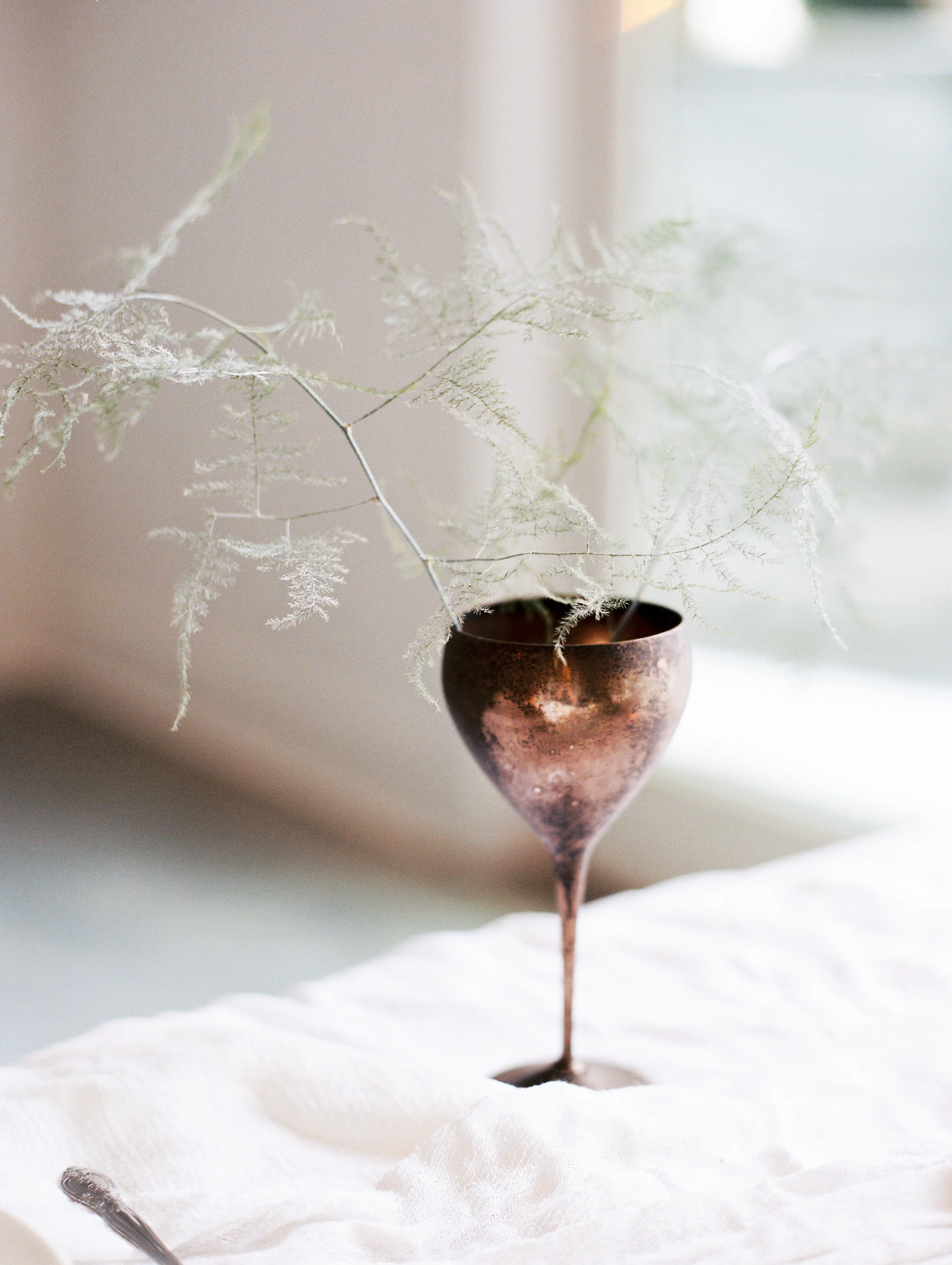 amanda nippoldt photography