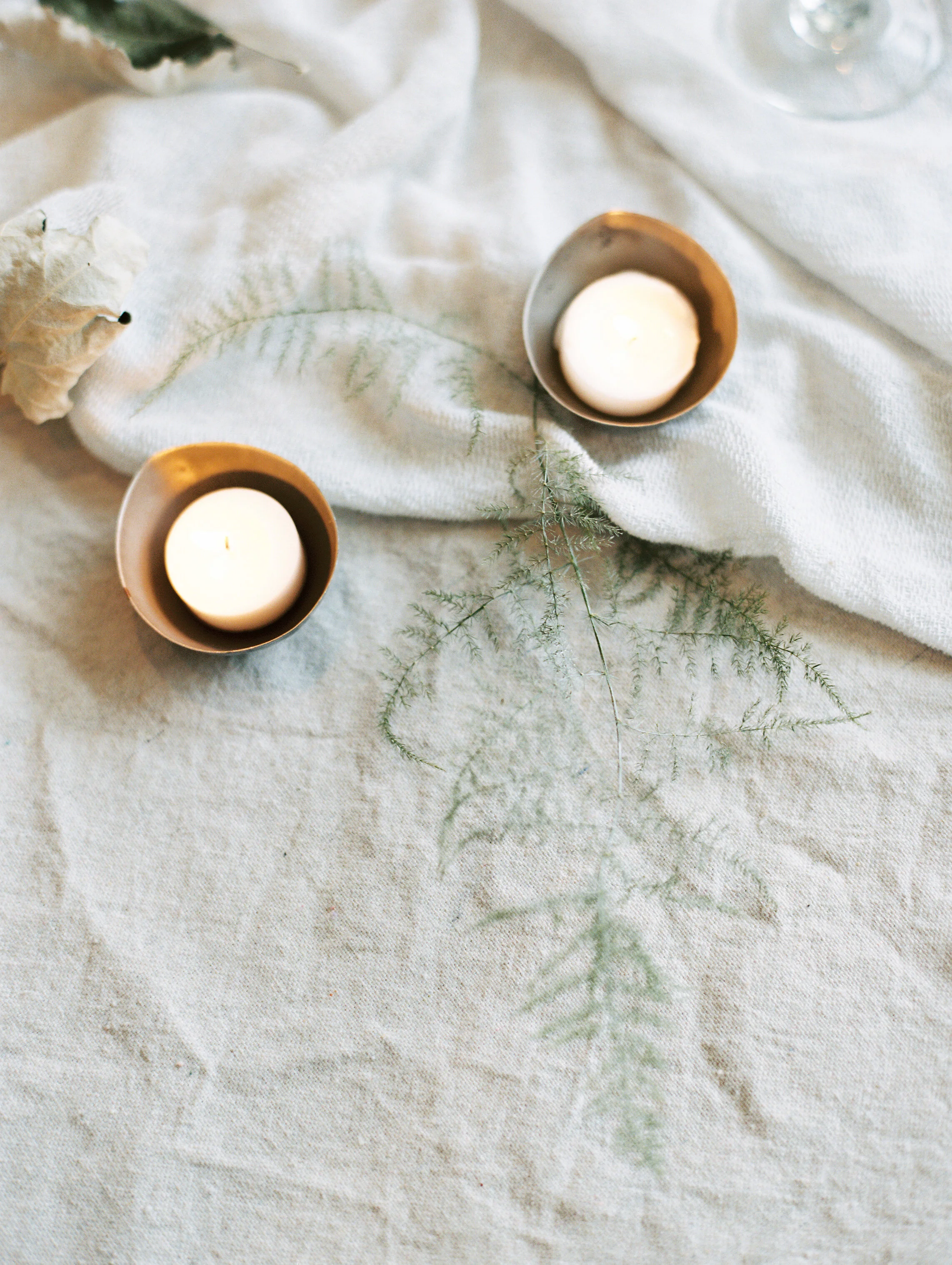 amanda nippoldt photography