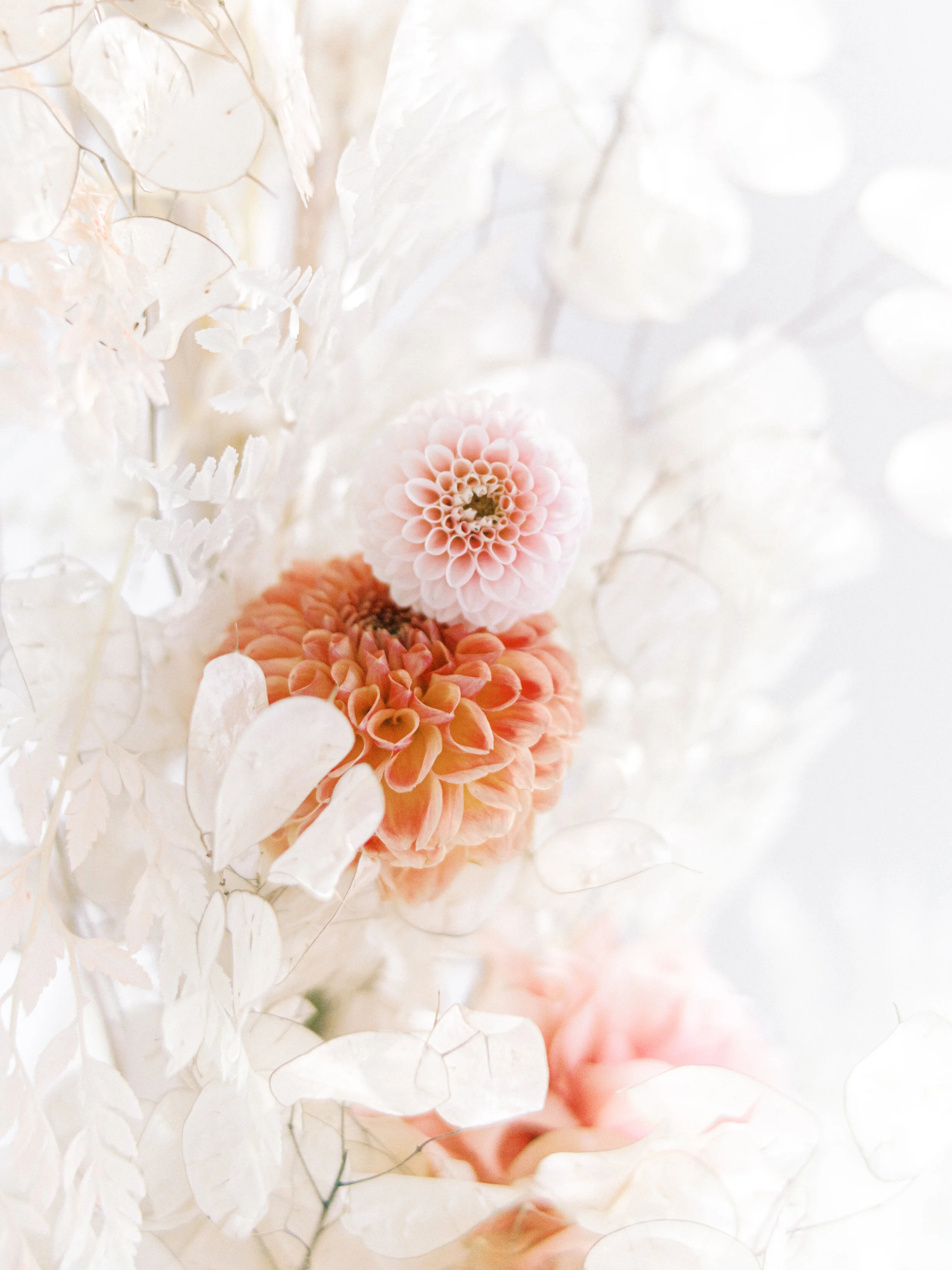 Dahlias_AshleyFox_LaurenEngfer21-59.jpg