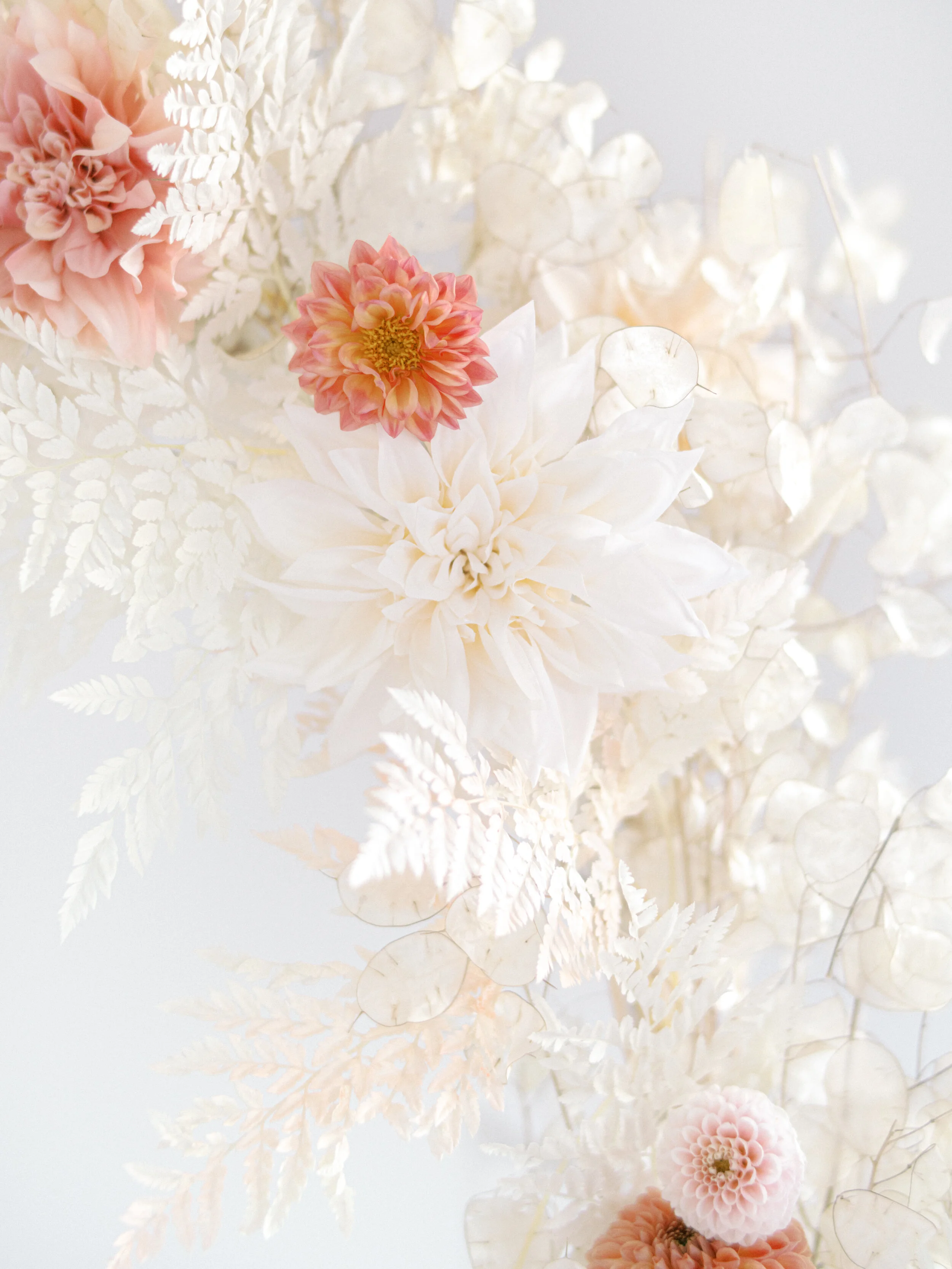 Dahlias_AshleyFox_LaurenEngfer21-61.jpg