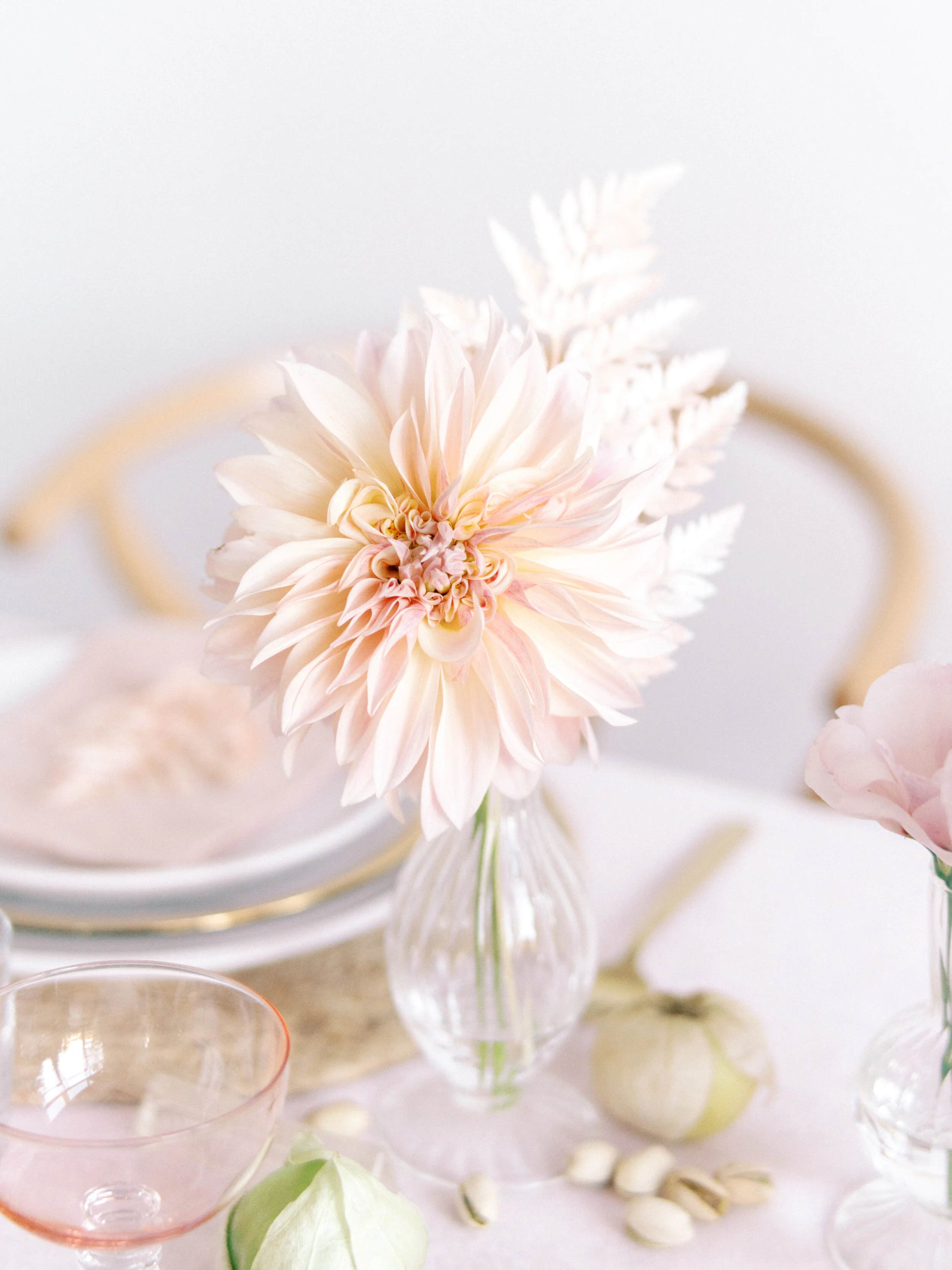 Dahlias_AshleyFox_LaurenEngfer21-86.jpg