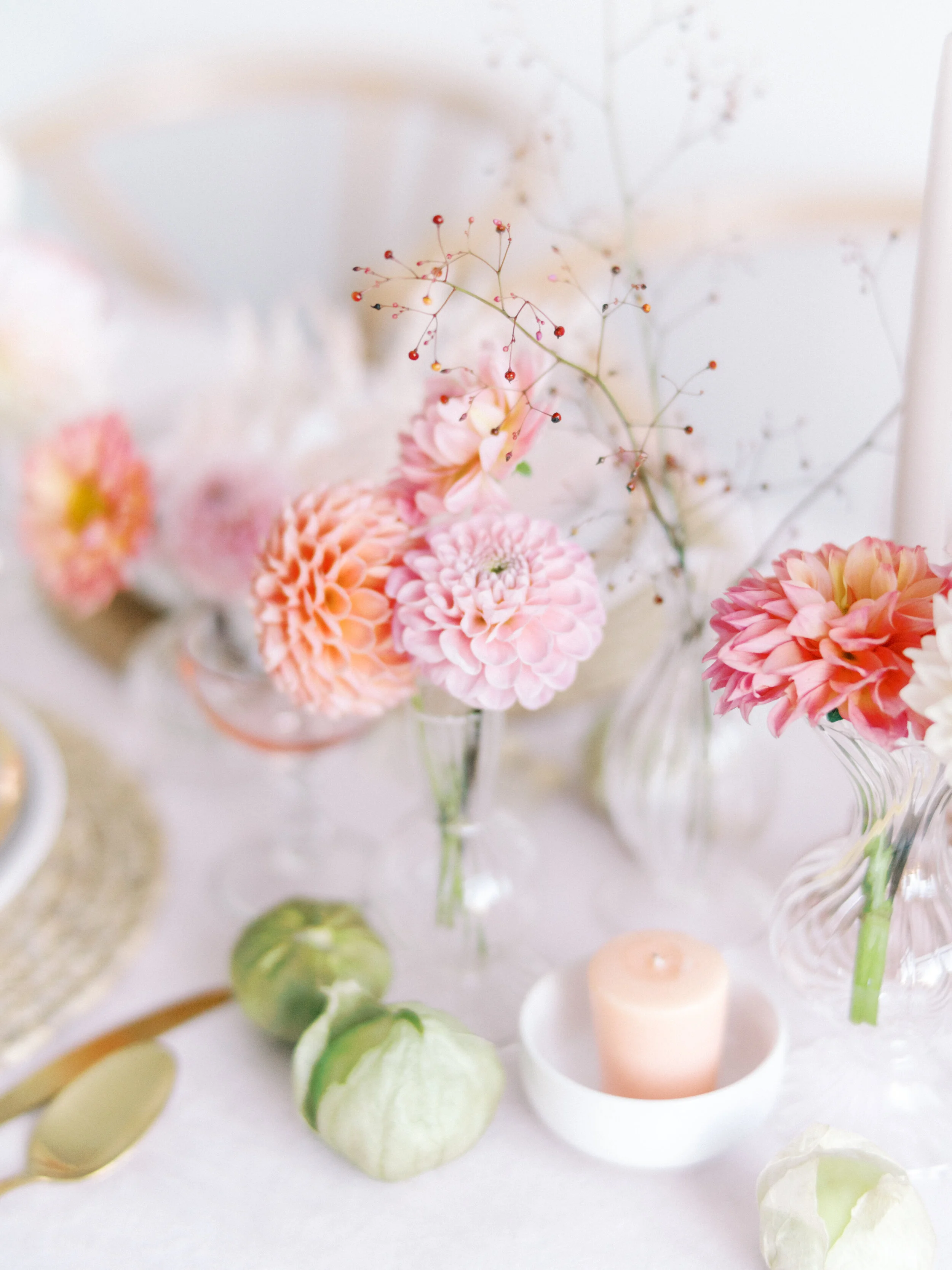 Dahlias_AshleyFox_LaurenEngfer21-81.jpg