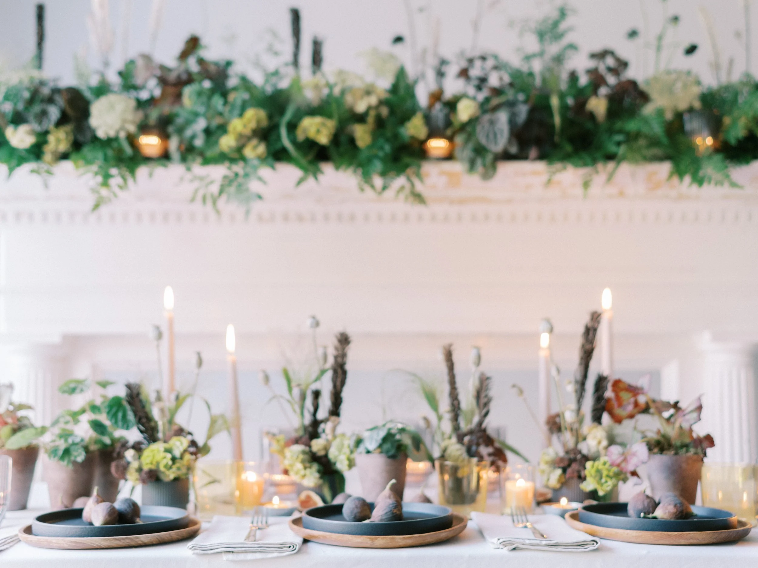 Botanicals + Figs