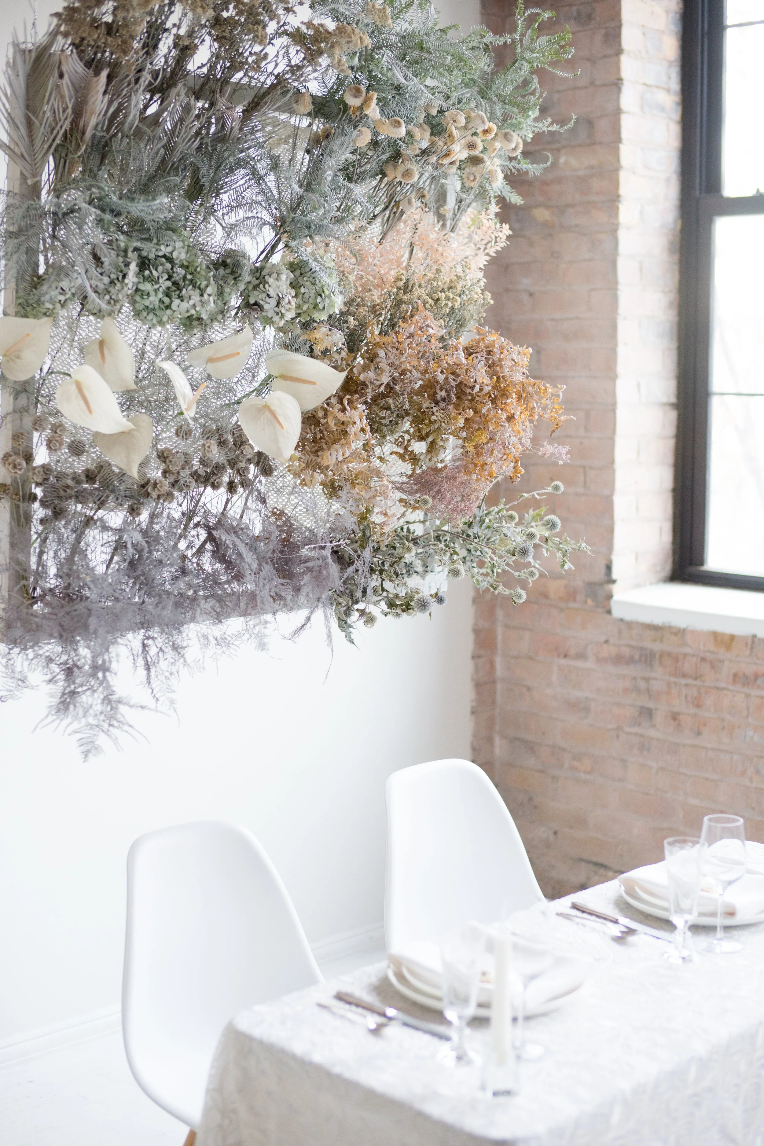 Touch of Frost Gallery