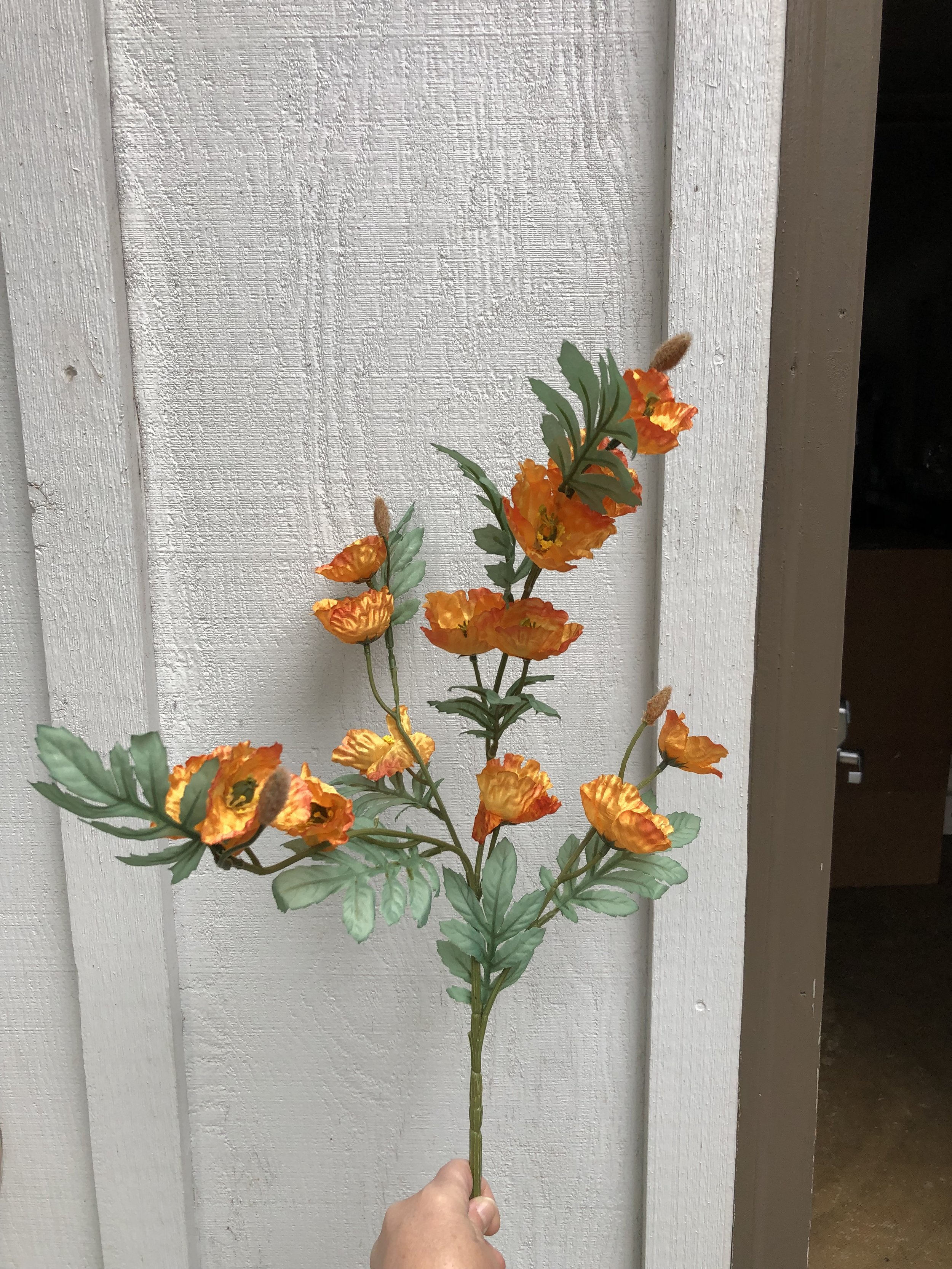 Orange poppy branch (9)