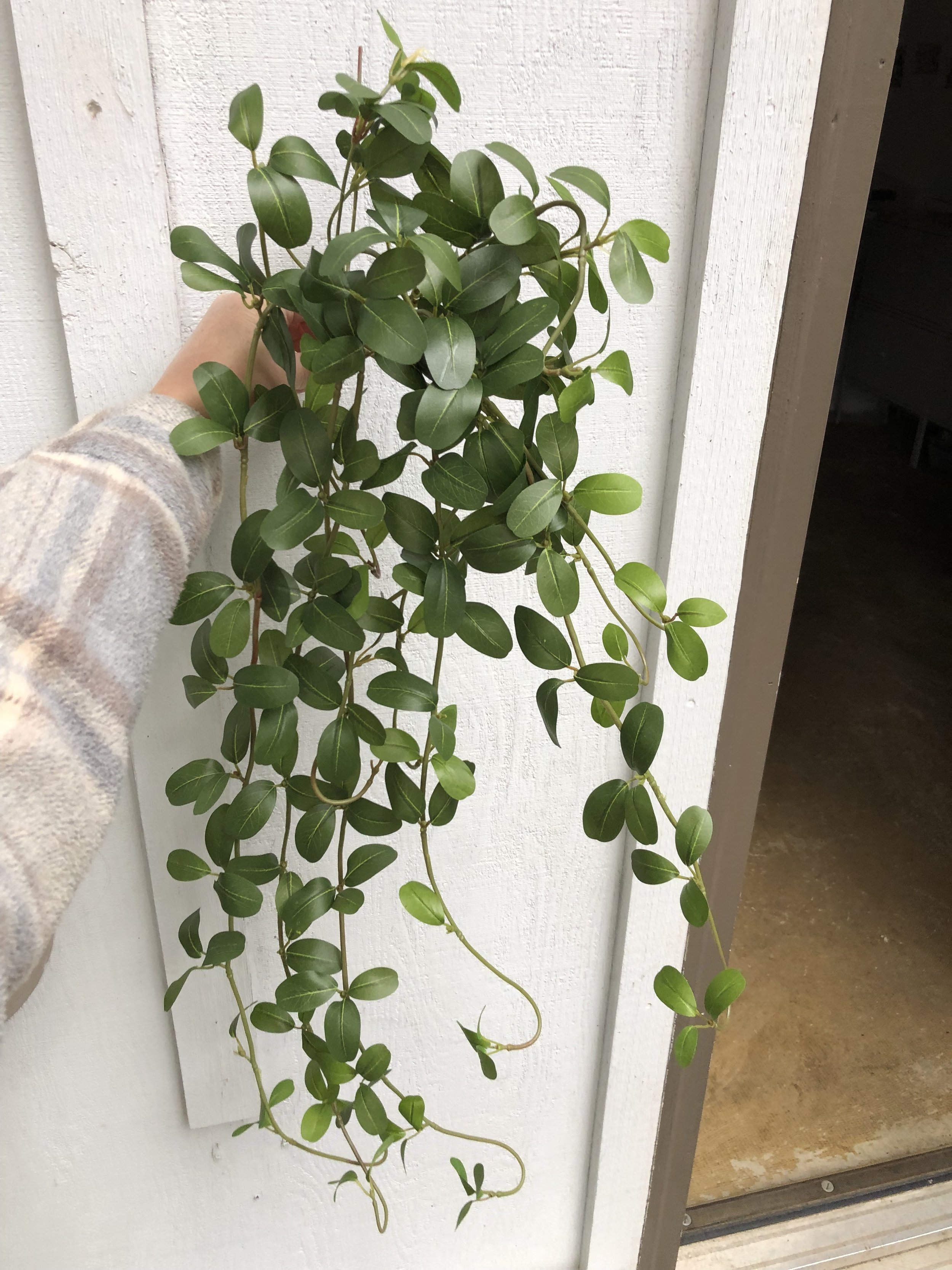 3' Small leaf green vine bunch (6)
