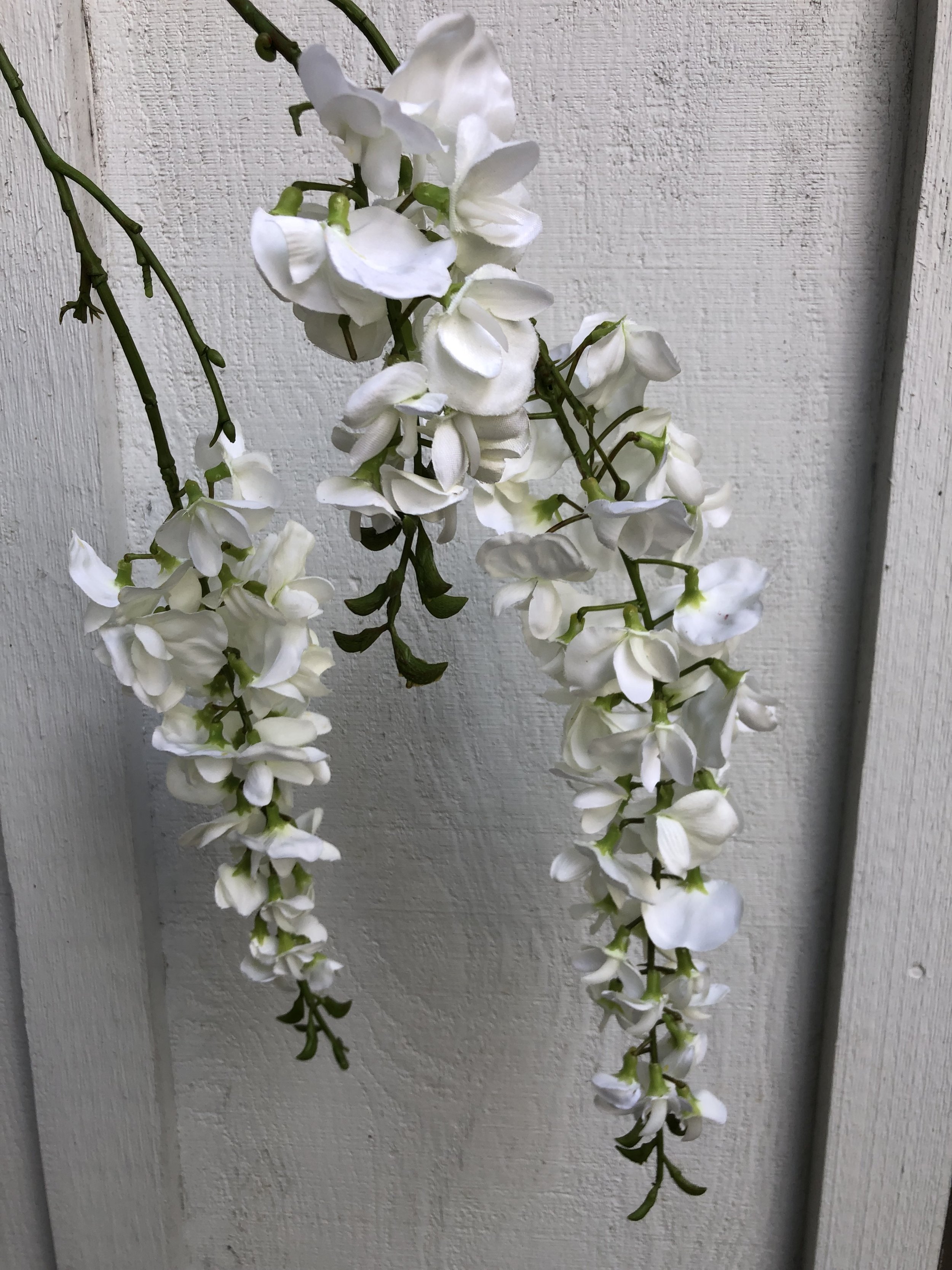 White wisteria branch (1/2 box)
