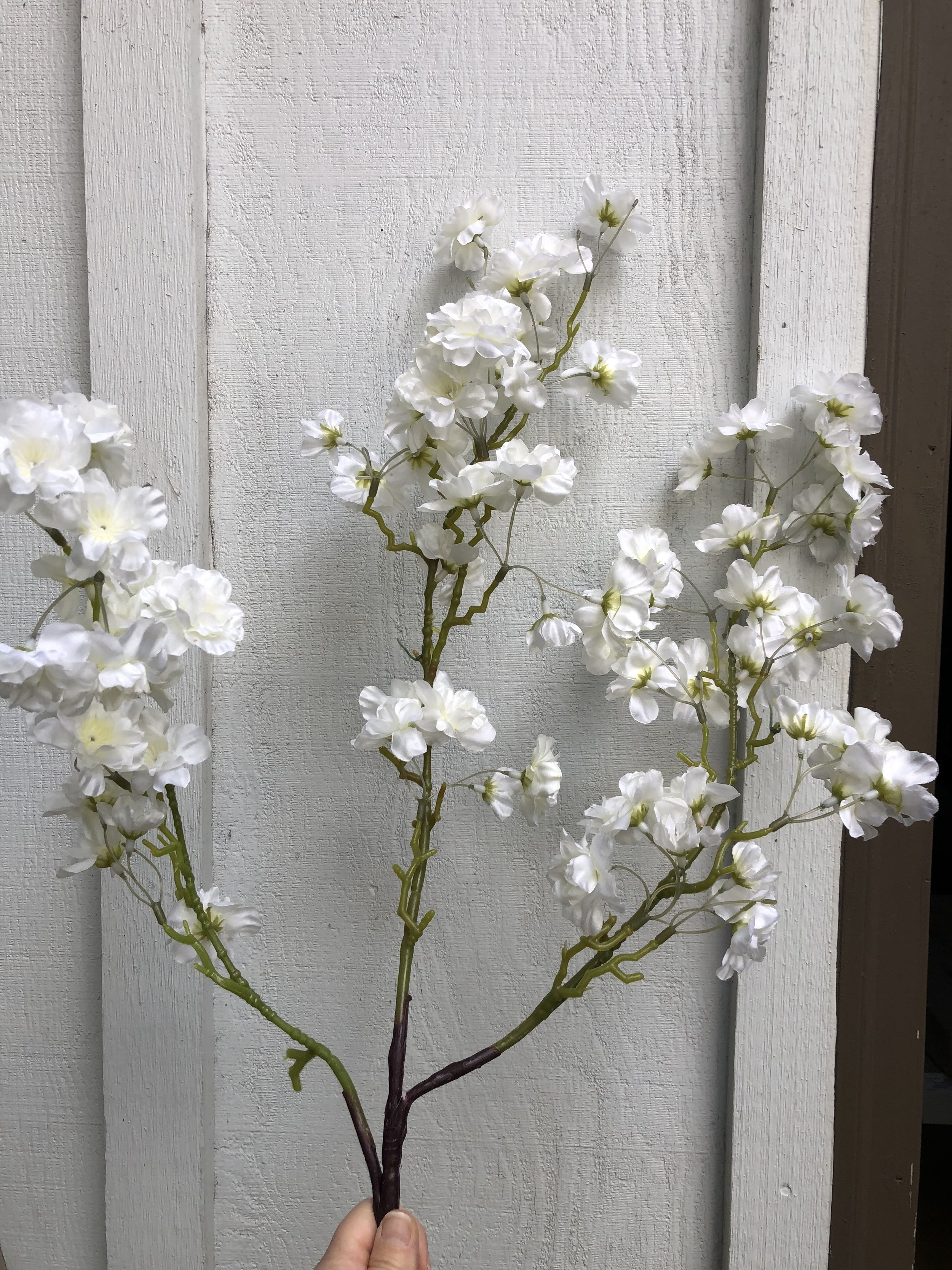 White plum branch (1/2 box)