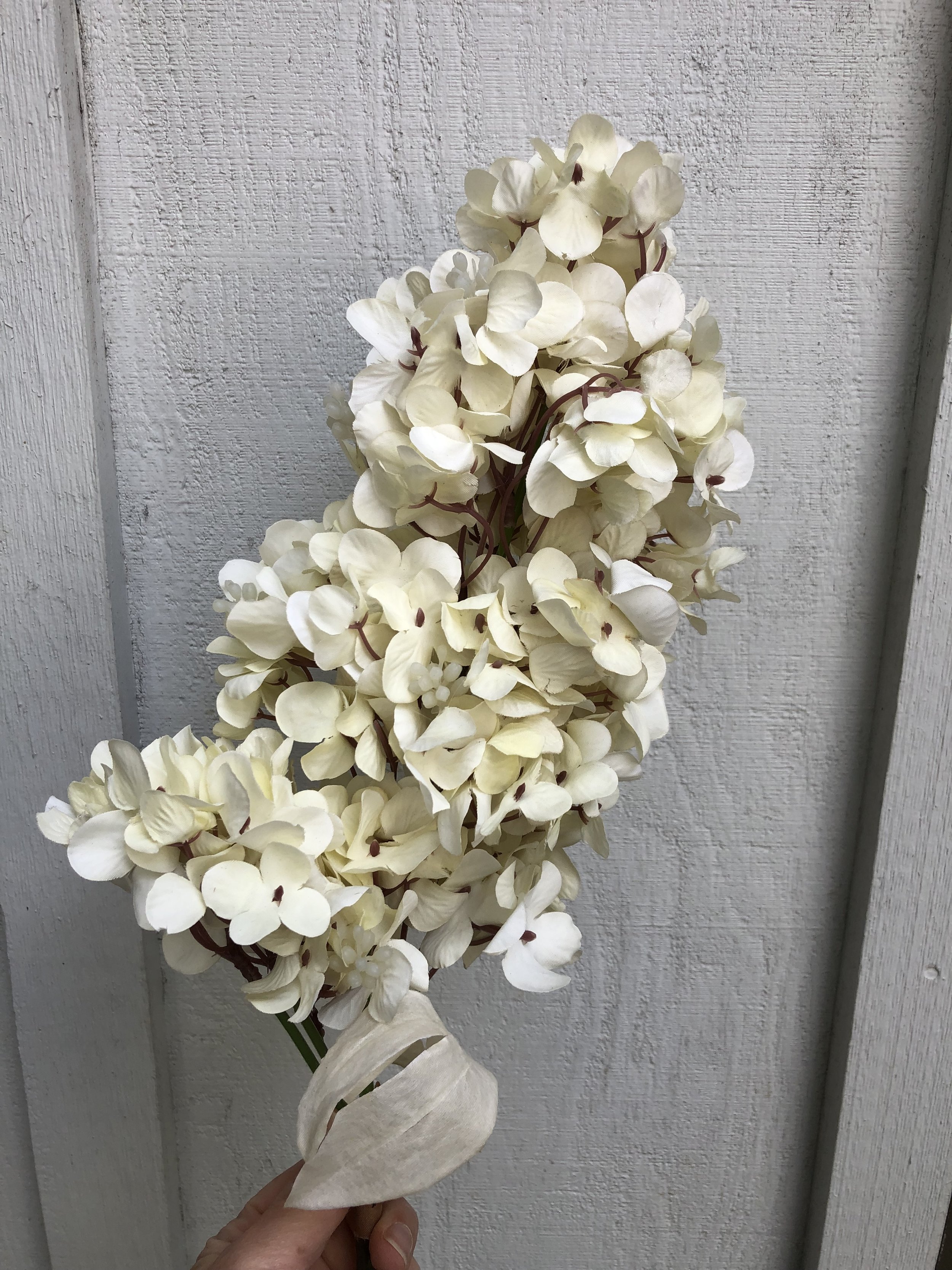 Ivory hydrangea (full box)