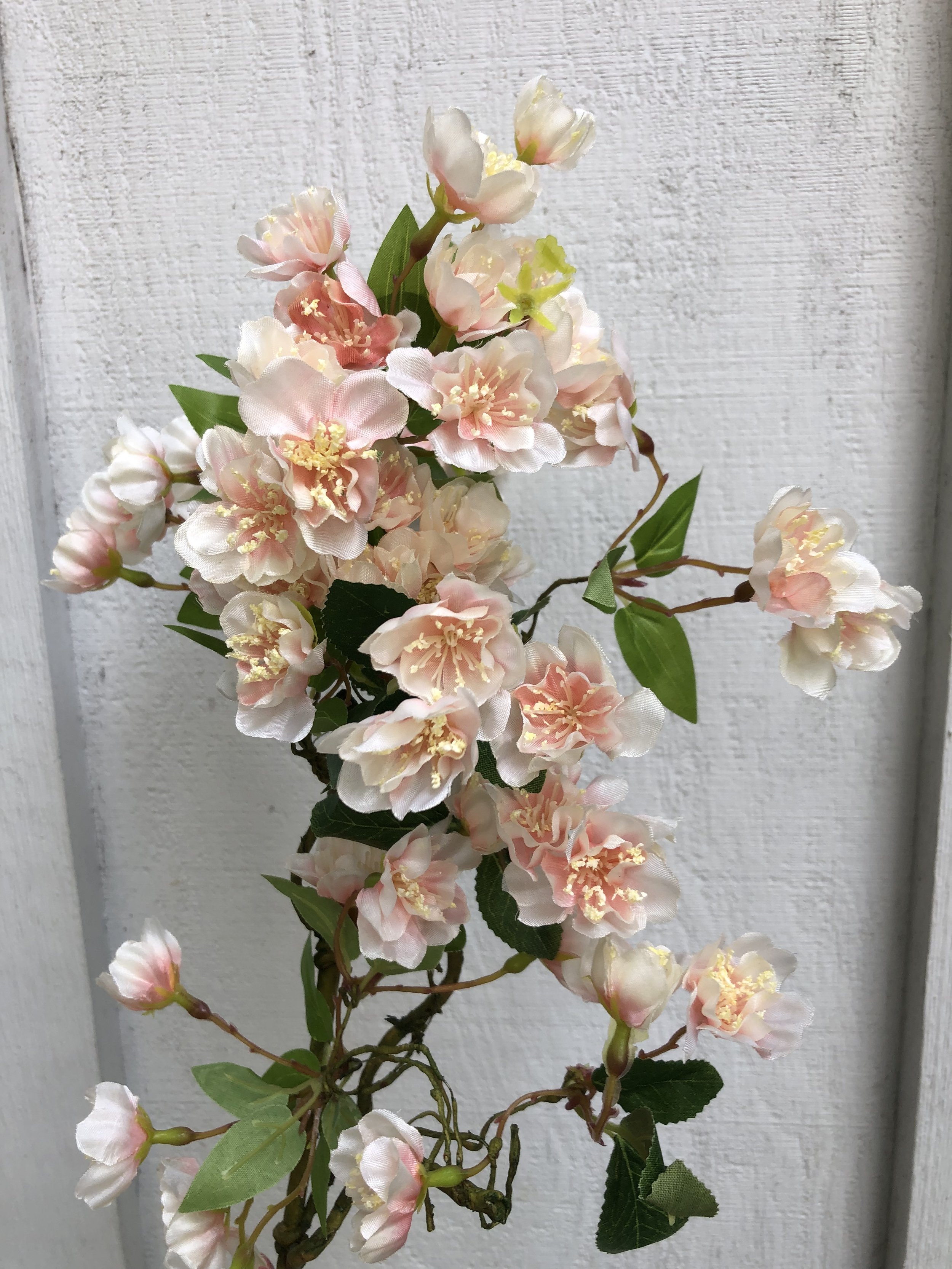 Peach blossoms short stems 17" (a full quarter box)