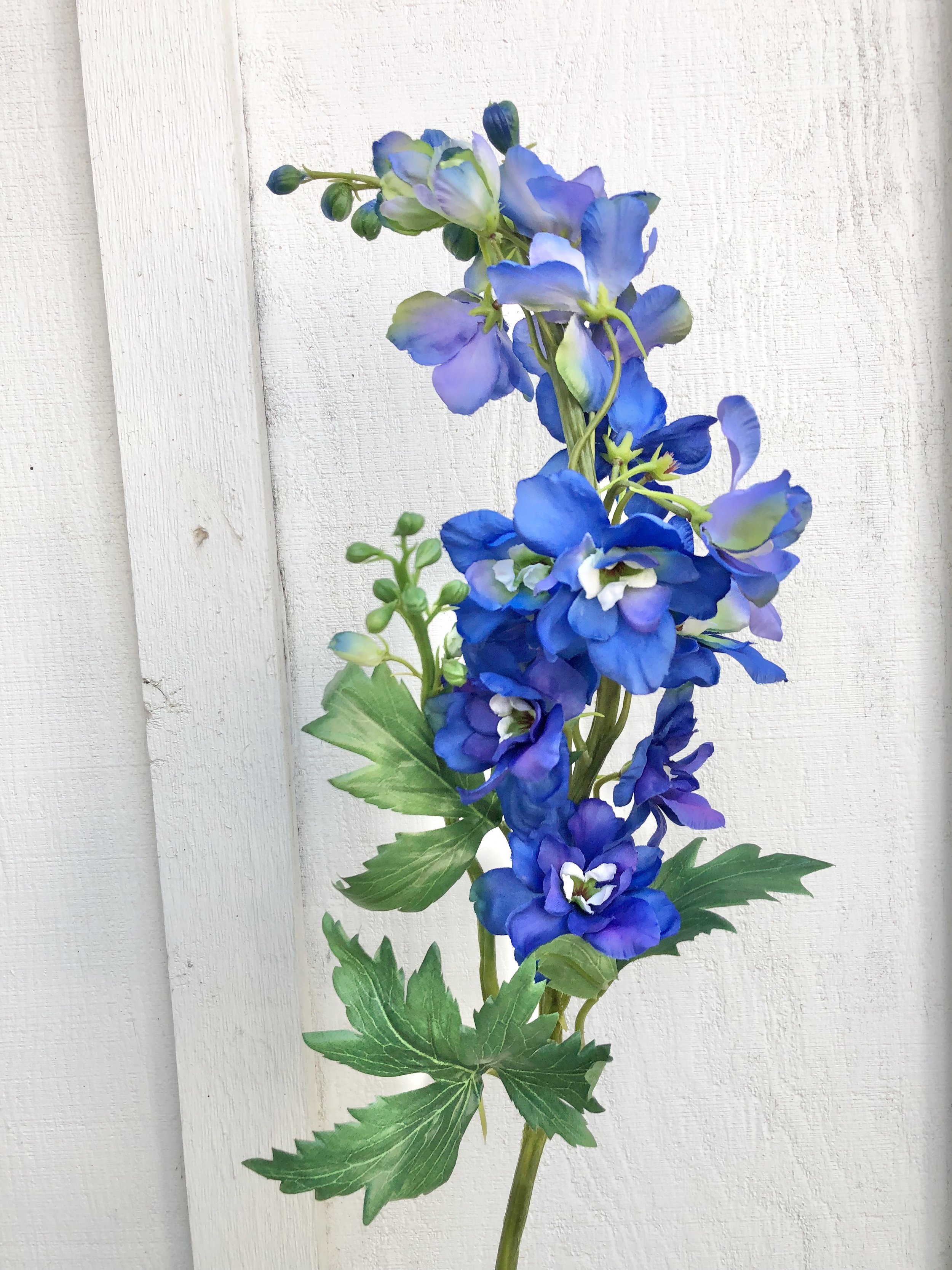 Blue Delphinium 14" bloom (10) 