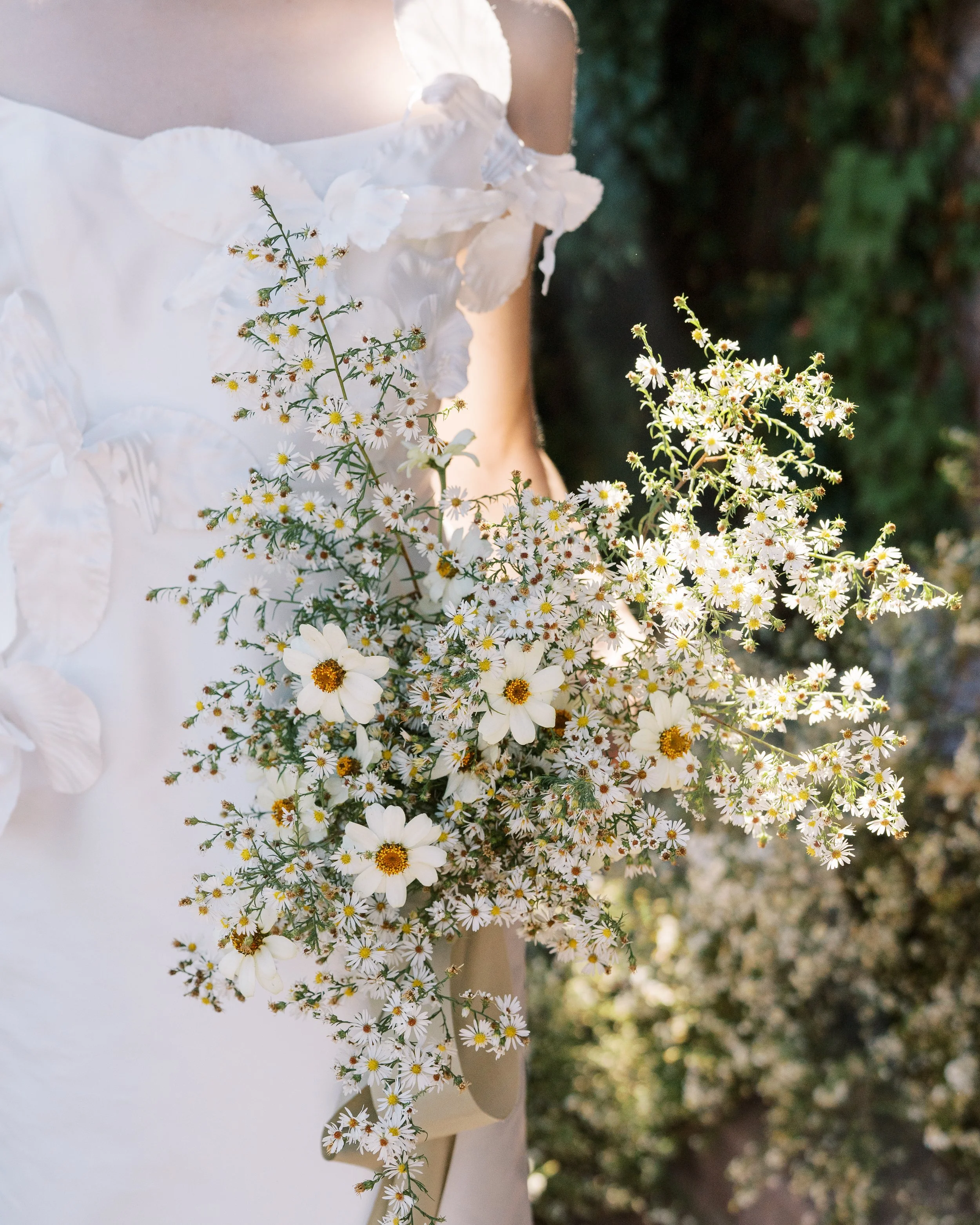 asters at van dusen mansion