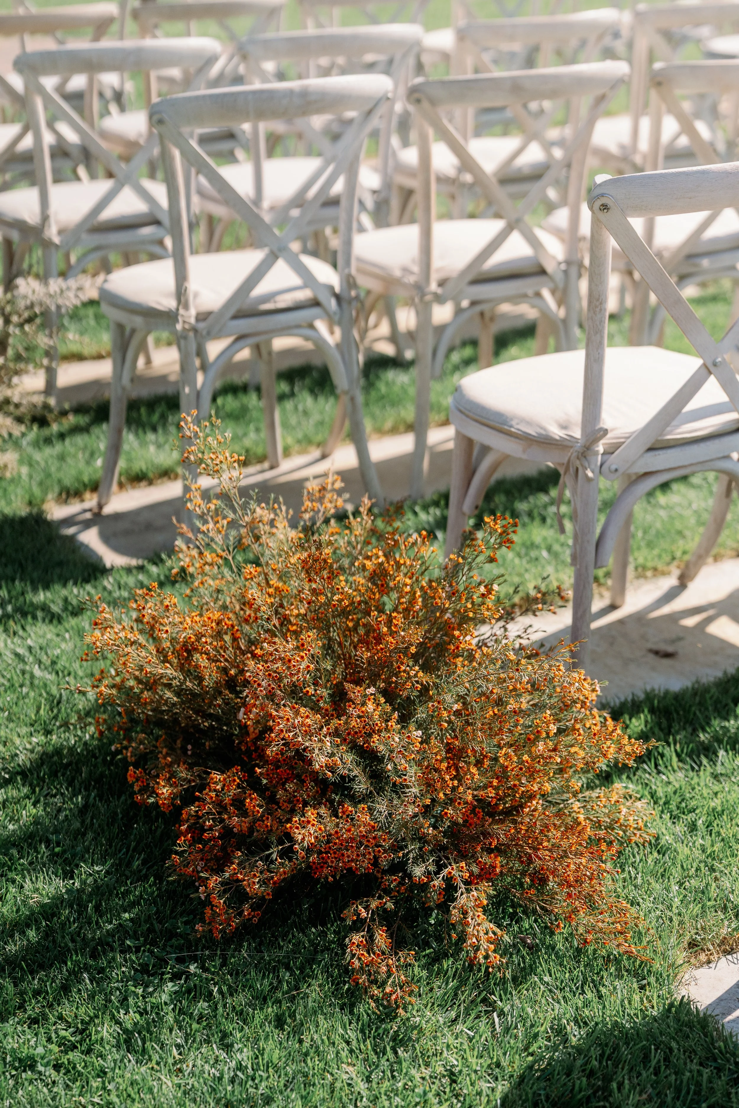 MWP08577.jpg