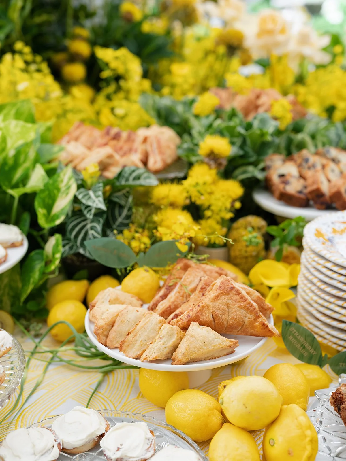 Poppati Brunch-62.jpg
