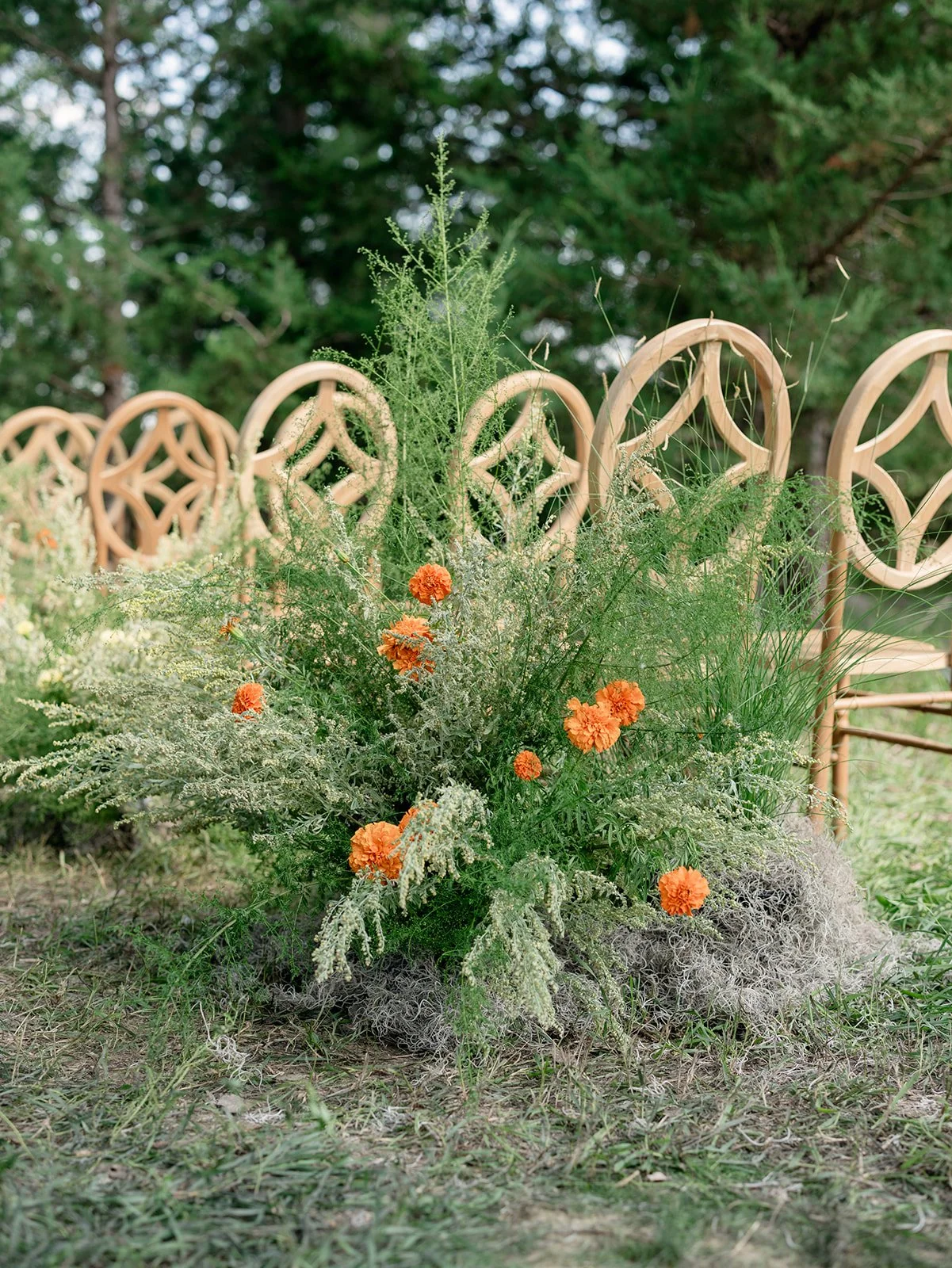 2025.08.12 Cultivating Beauty Workshop-Lauren Baker Photography-377.jpg