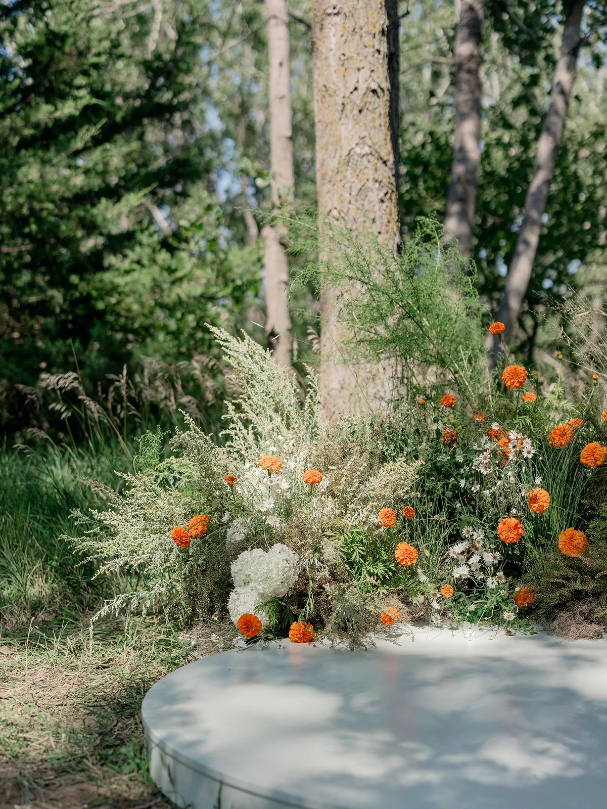 2025.08.12 Cultivating Beauty Workshop-Lauren Baker Photography-370.jpg