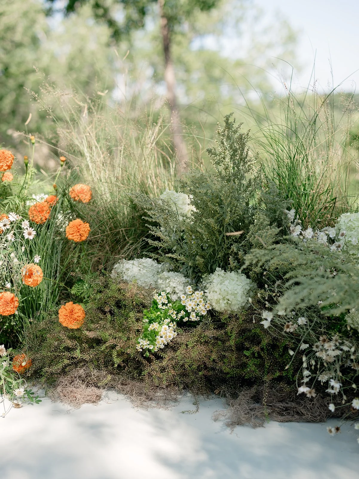 2025.08.12 Cultivating Beauty Workshop-Lauren Baker Photography-371.jpg