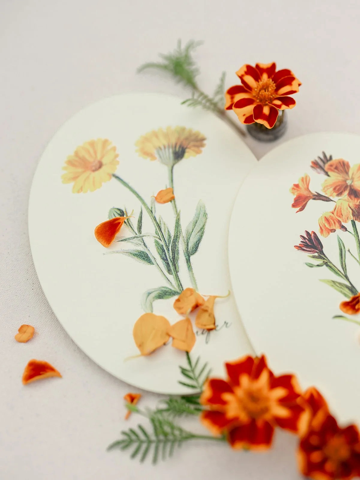 2025.08.12 Cultivating Beauty Workshop-Lauren Baker Photography-7.jpg