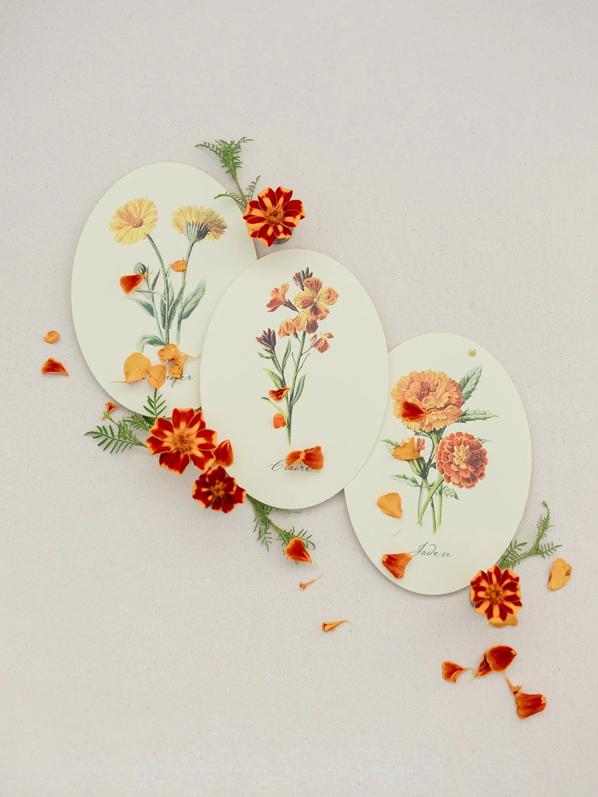 2025.08.12 Cultivating Beauty Workshop-Lauren Baker Photography-5.jpg