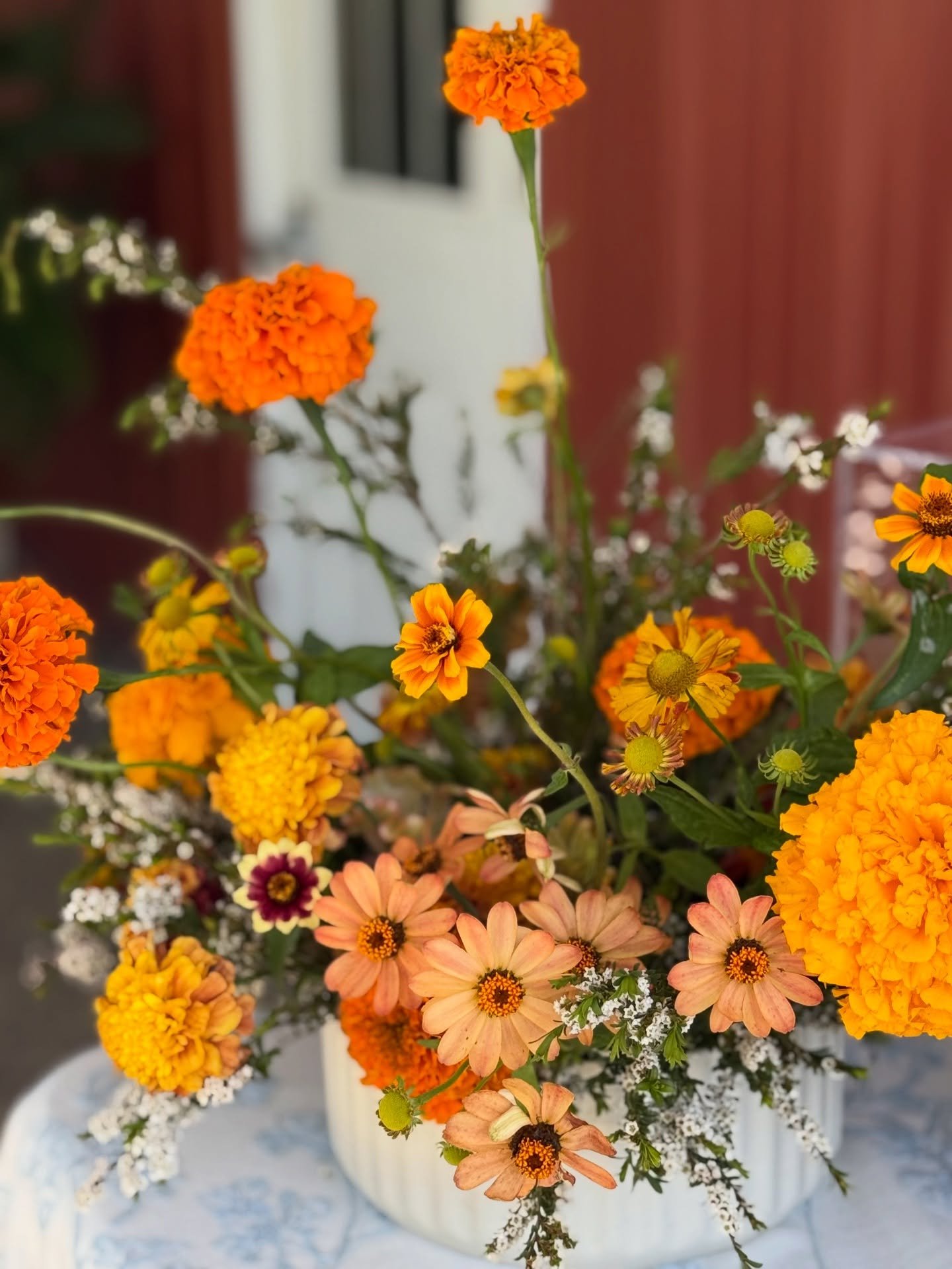 Profusion Apricot zinnia🧡🦁
.
Grown by @northerly.flora along with the most beautiful marigolds
.
Behind the scenes for Hannah and Grant in September 
.
Clients @hwilhite99 and Grant
Planning and Design @honeyhill_weddings 
Musicians @young_hearts_m