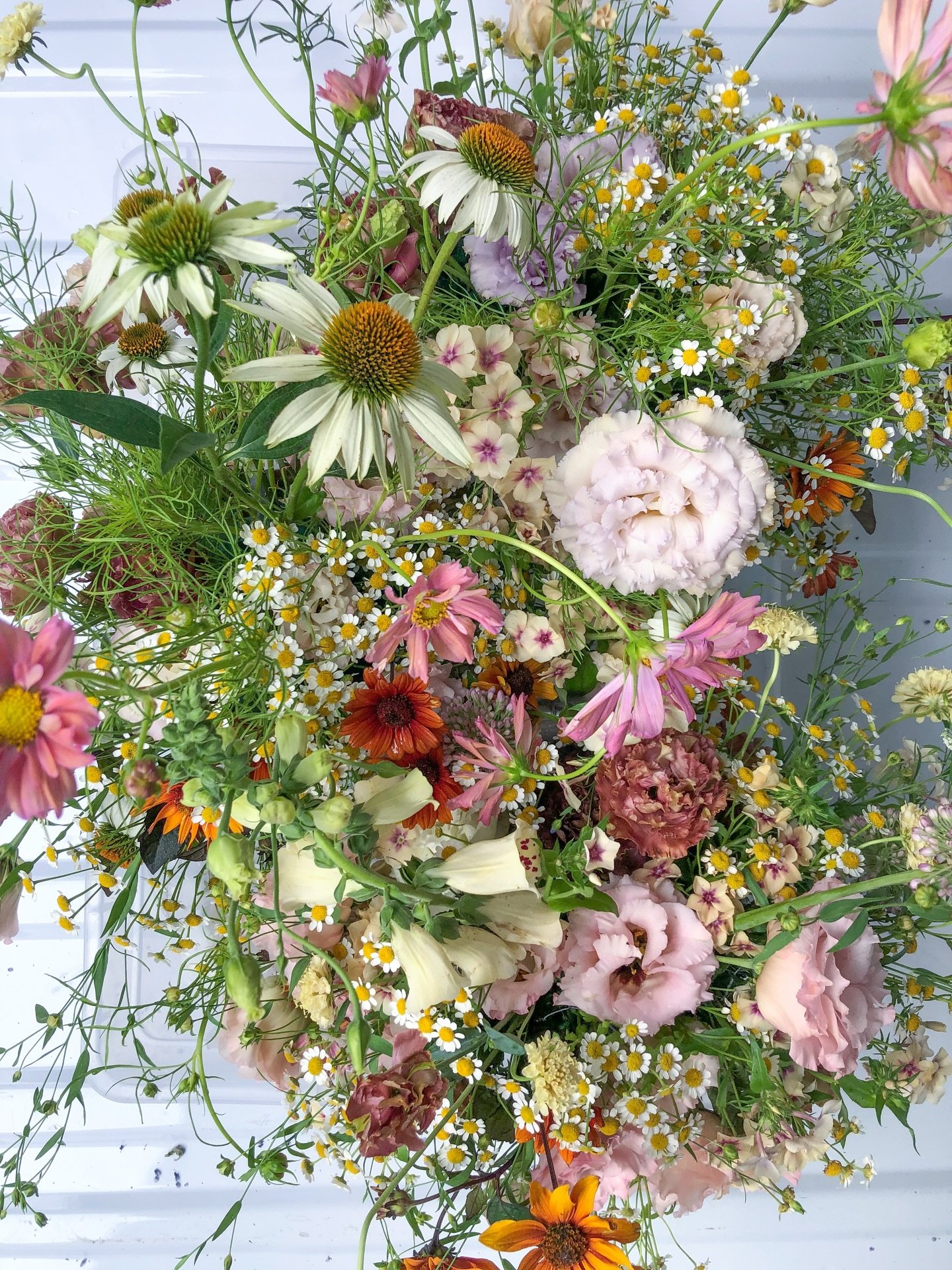 The best of August🌼🌸🌱🍂
.
For Sarah + Dillion&rsquo;s centerpieces
.
Phlox, echinacea, flax, lisianthus, feverfew, cosmos, foxglove, and scabiosa grown by @northerly.flora
.
Planning: @stylearchitectsweddings 
Design and Floral: @ashleyfoxdesigns 