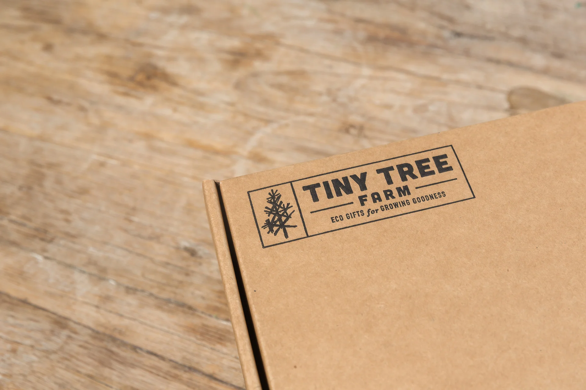 tinytree-proof-0118.jpg