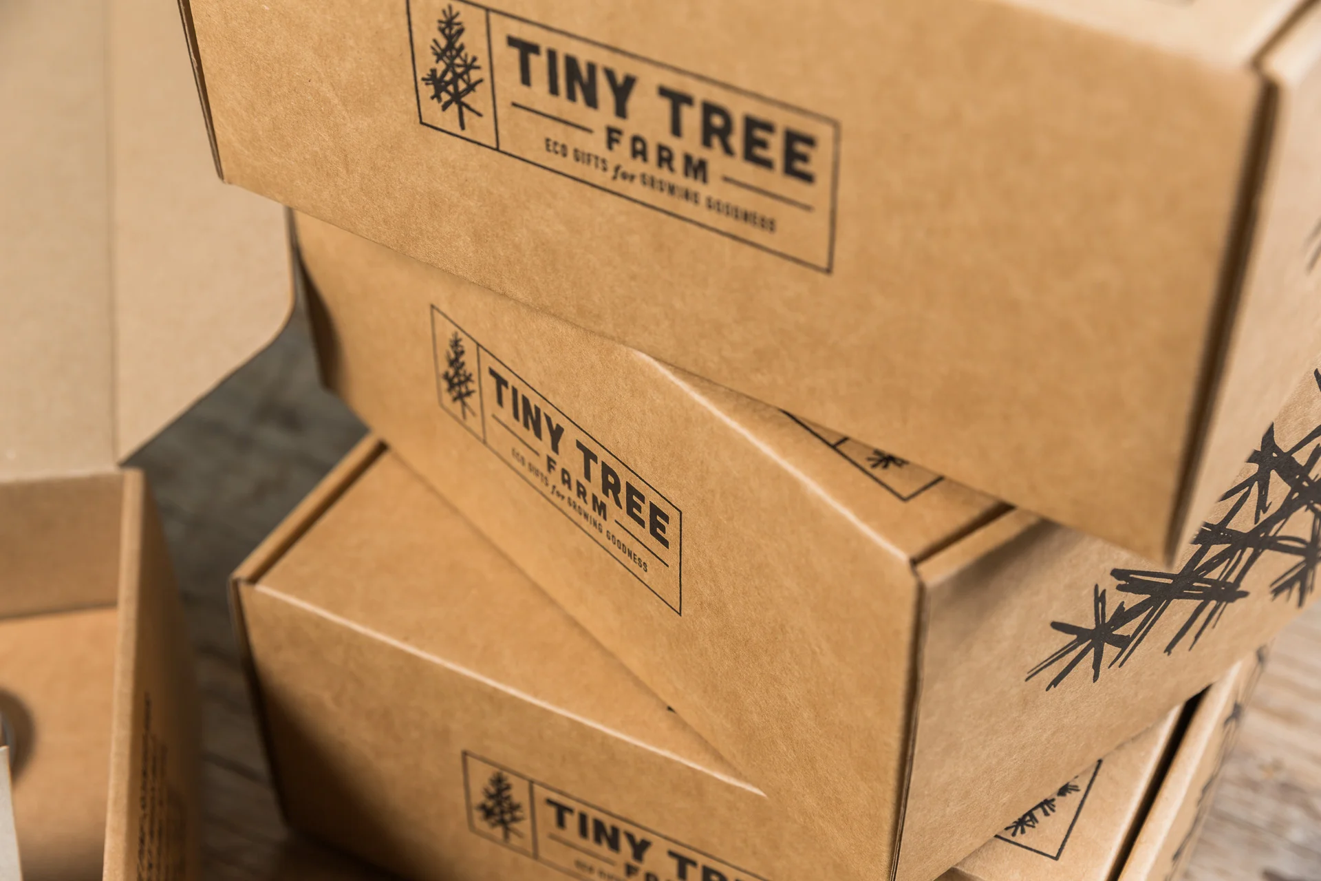 tinytree-proof-0070.jpg