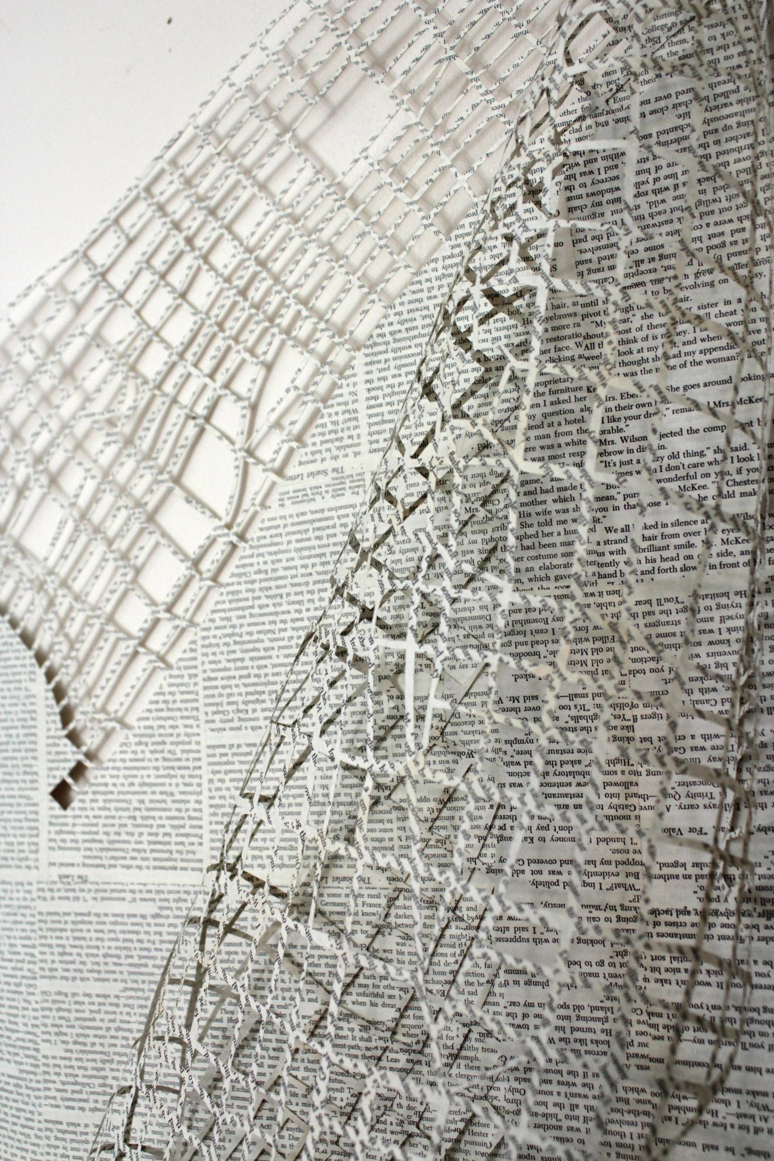   #isthisreallife? (detail)  Book pages 25.5"x30" 2015 