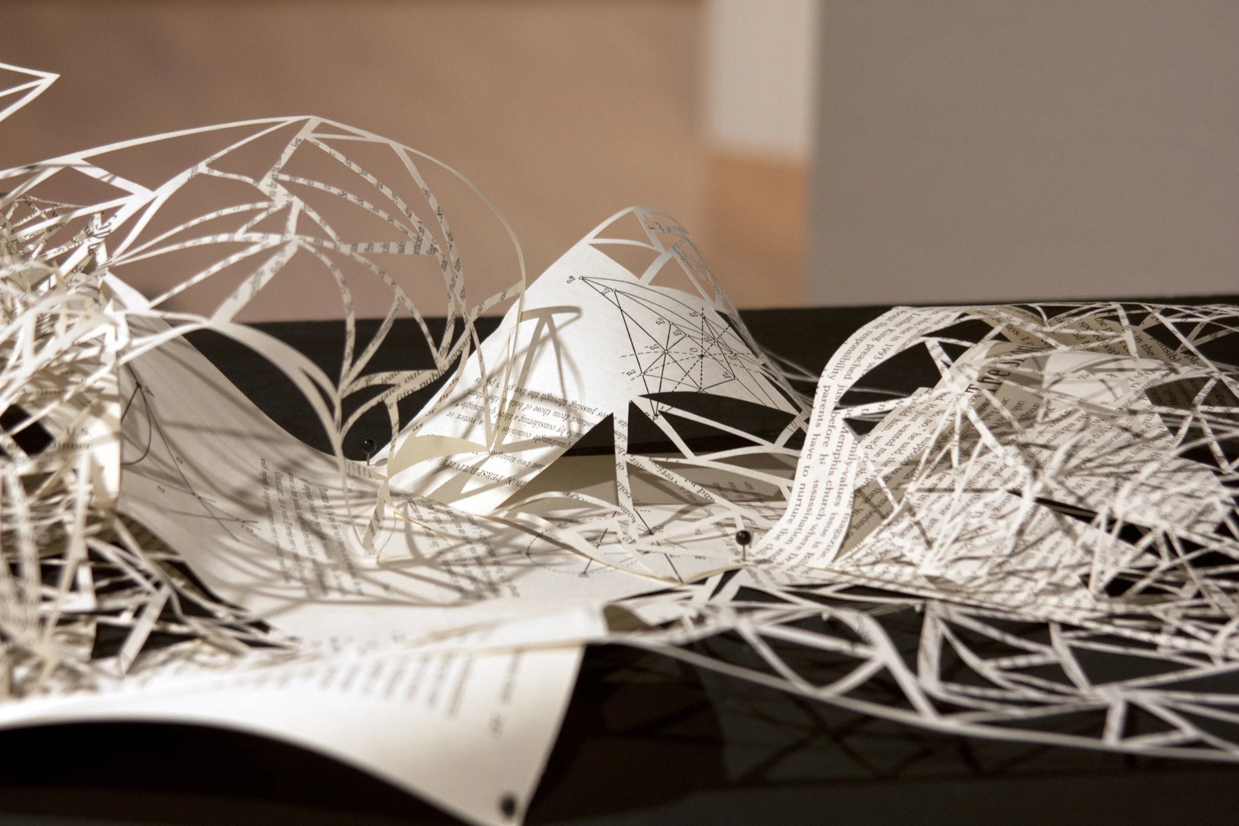 I’ve always been skeptical of Projective Geometry. (detail) Book pages, map pins Dimensions variable 2012 Photos by Alex Stewart