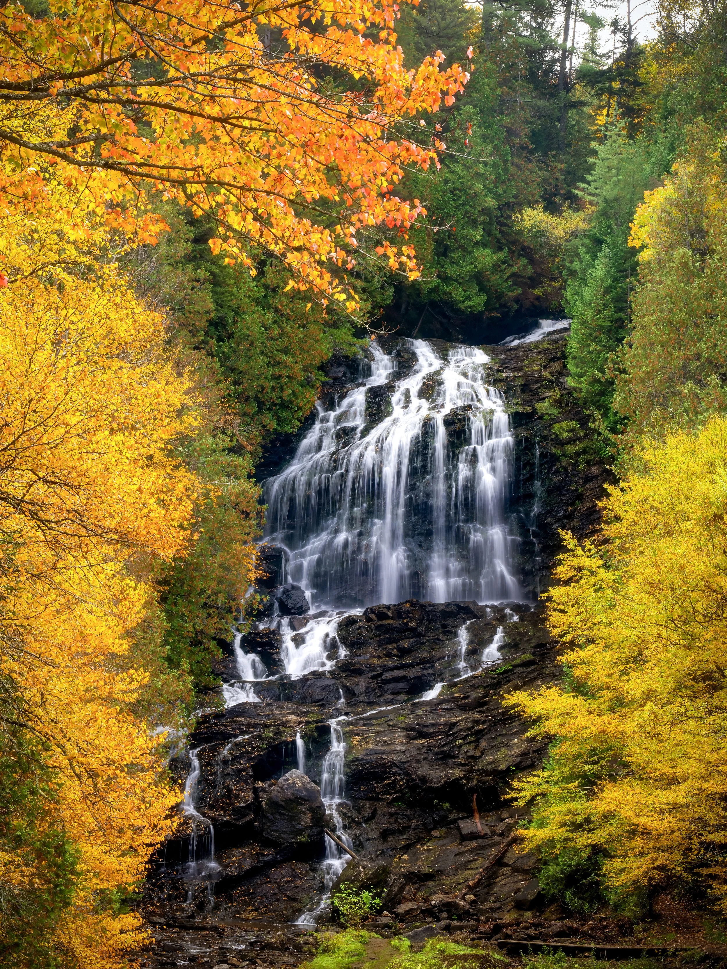 A1_02702-3SMALL.jpg