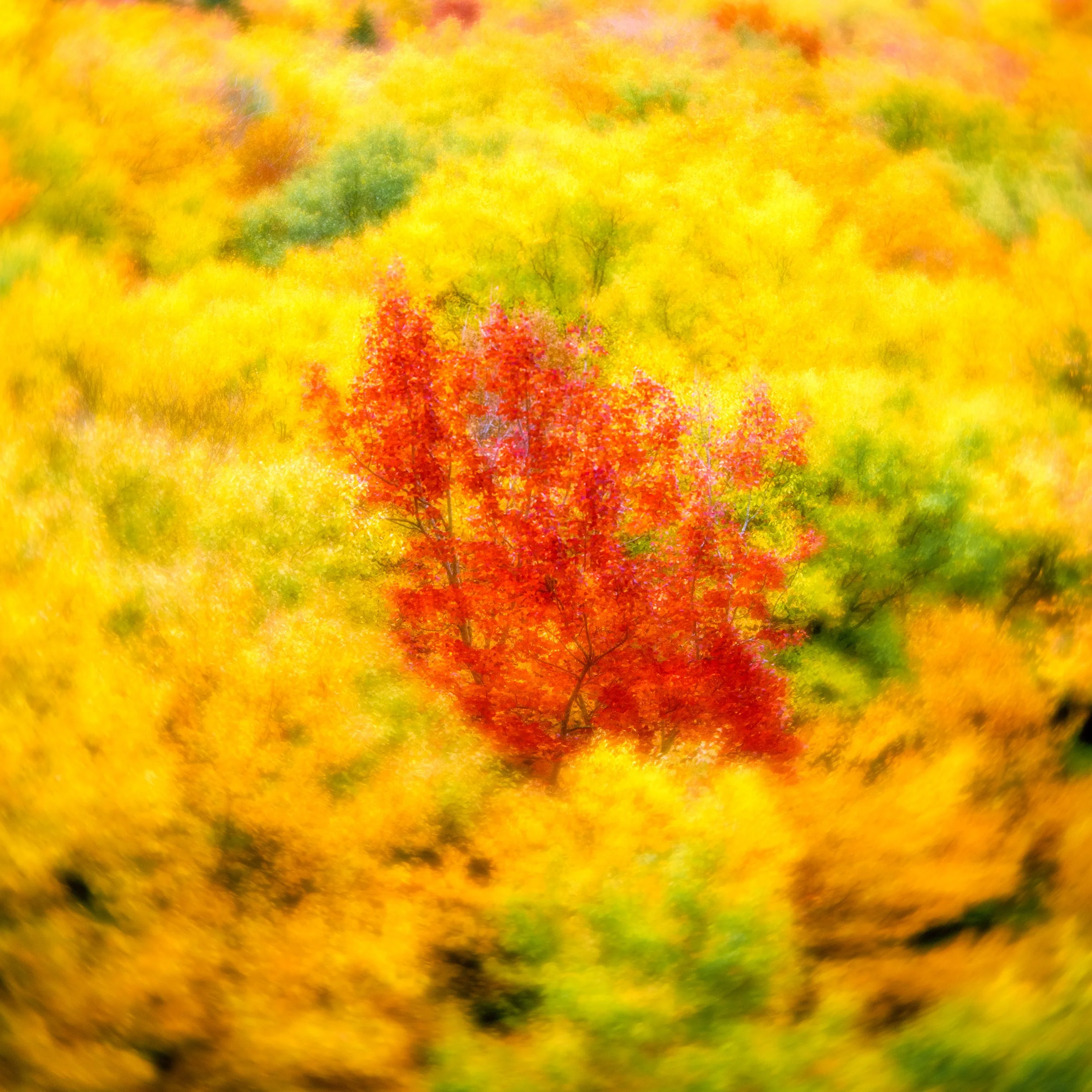 _A1_3545-1 SMALL.jpg