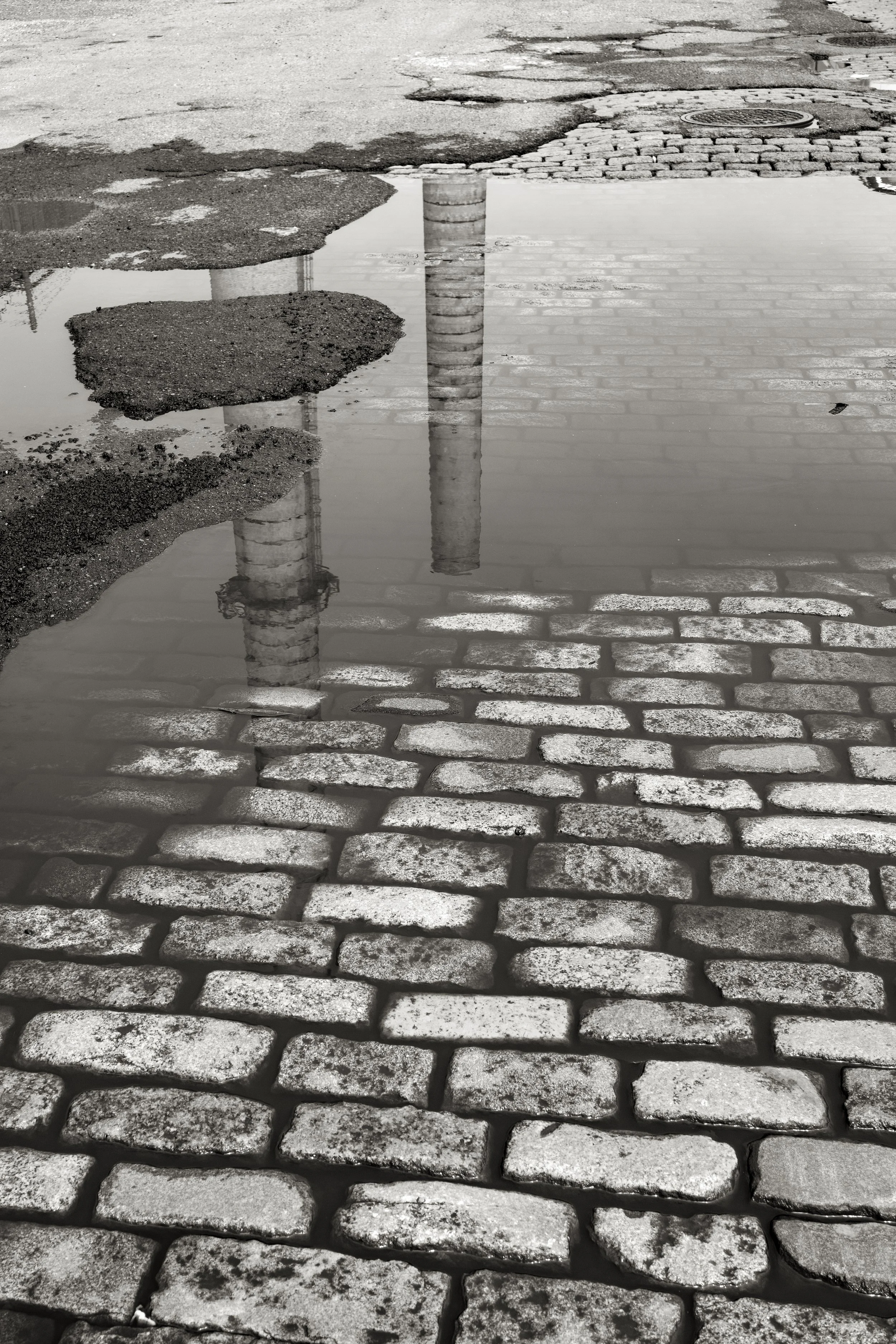 _A1_1043 SILVER PBG.jpg