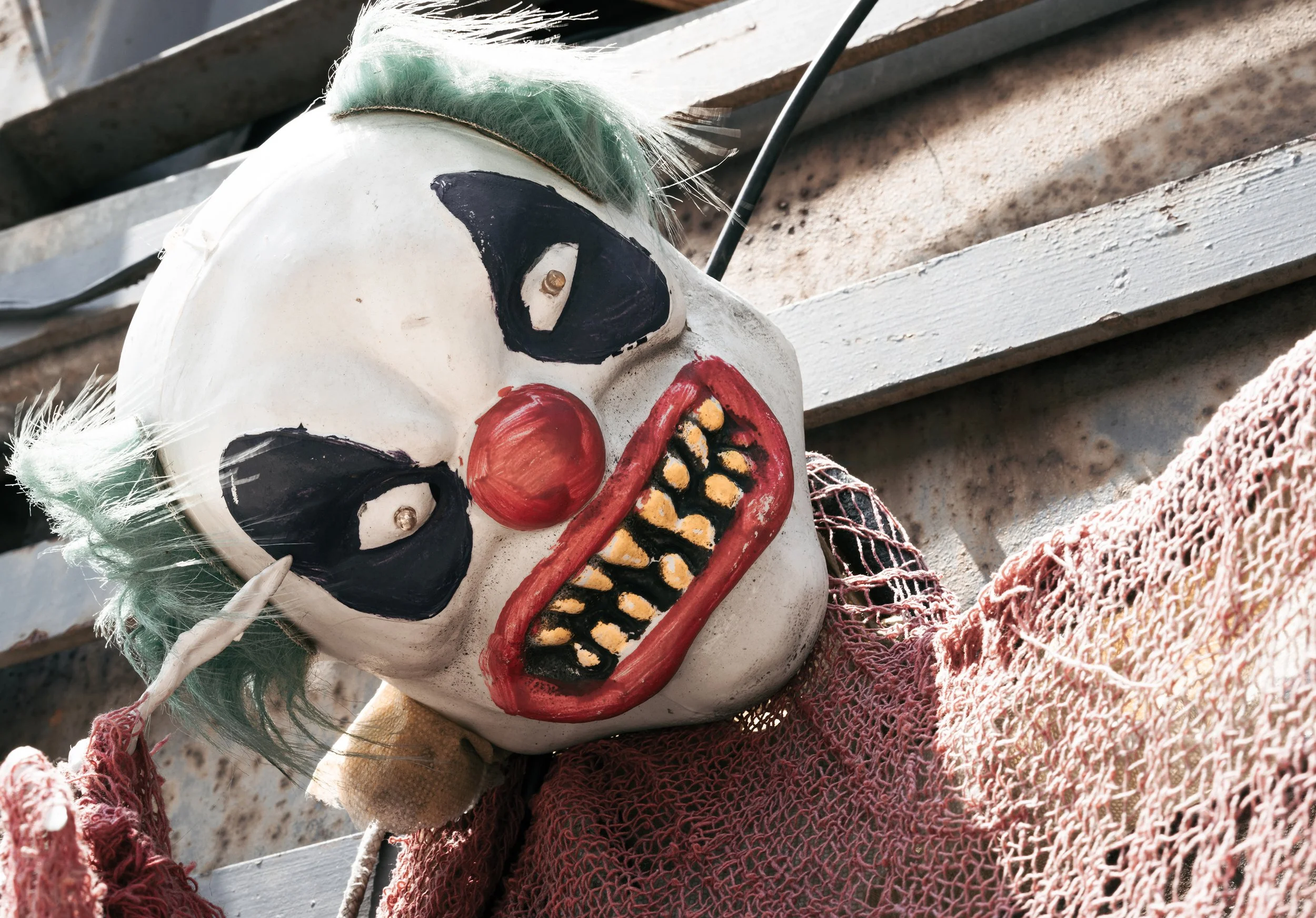 _A1_1340 copy SMALL.jpg