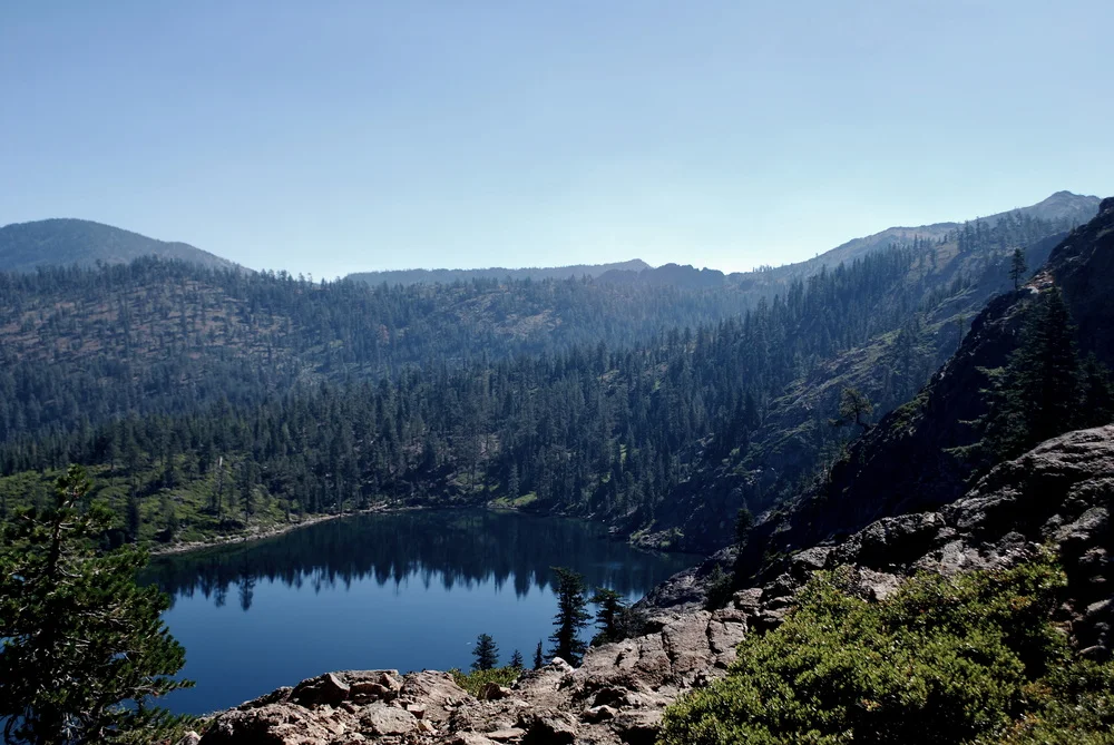 DSC_6429.jpg