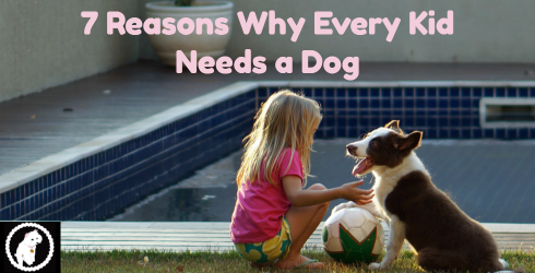 7 Reasons Why Every Kid Needs a Dog