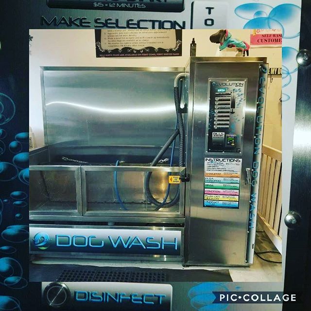 Do you see this machine before? Is for wash you dog, come and visit us and see how your can save money and keep you house and dog clean.