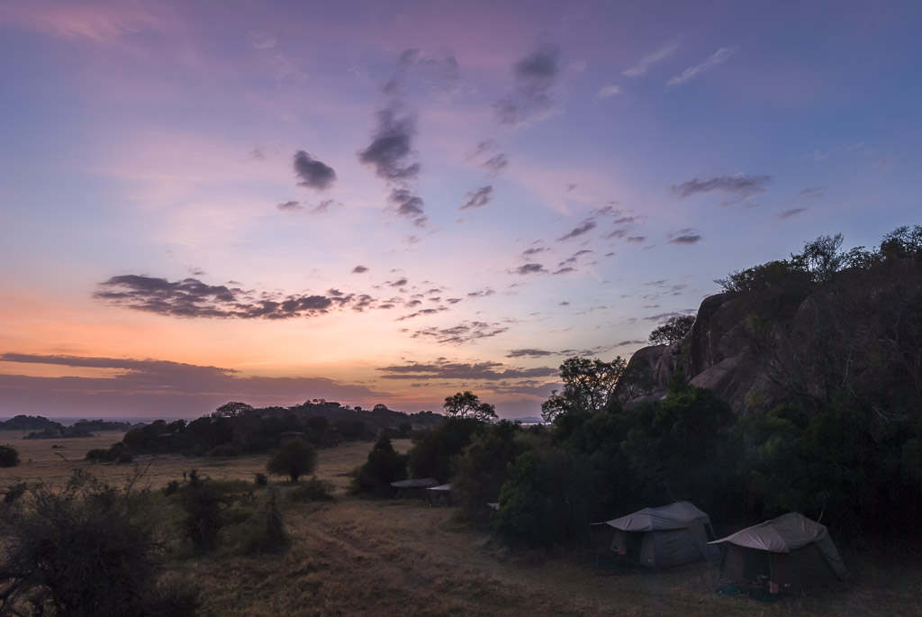 Serengeti Bush Camp Sunrise 1.jpg