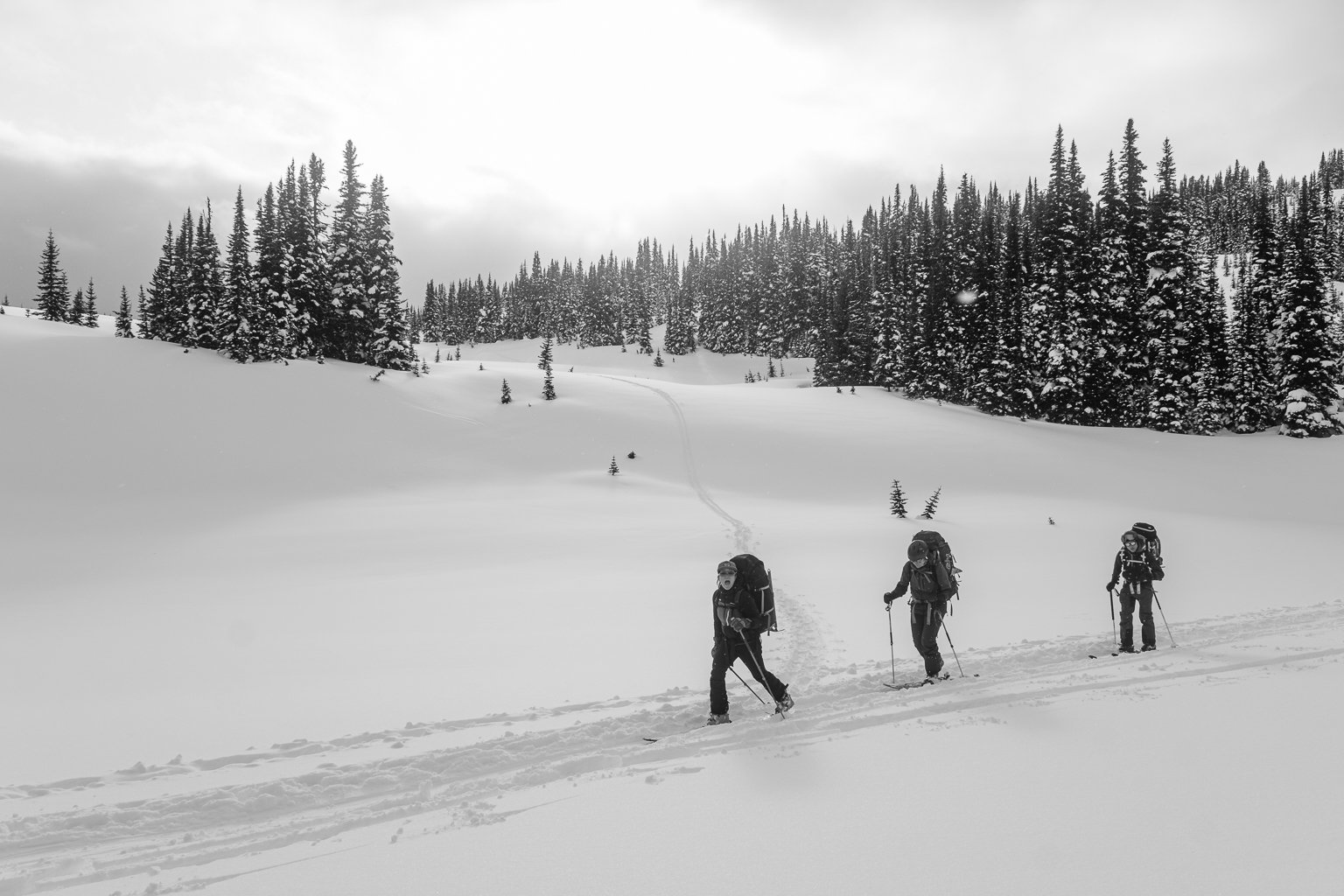 20230315-19_CMeder_XT20_Kees_and_Claire_Hut_Skiing_with_Ruffs-48.jpg