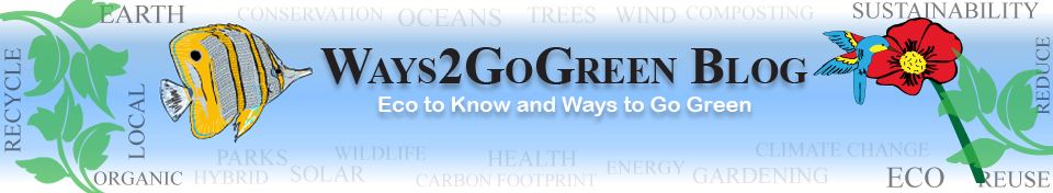 Check Out: Ways 2 Go Green Blog