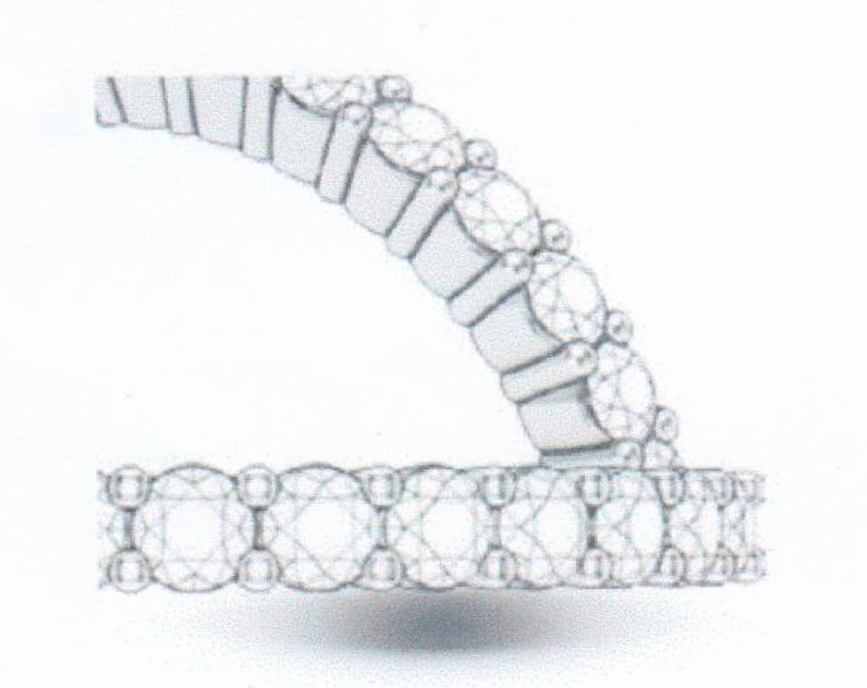 Shared Prong Setting
